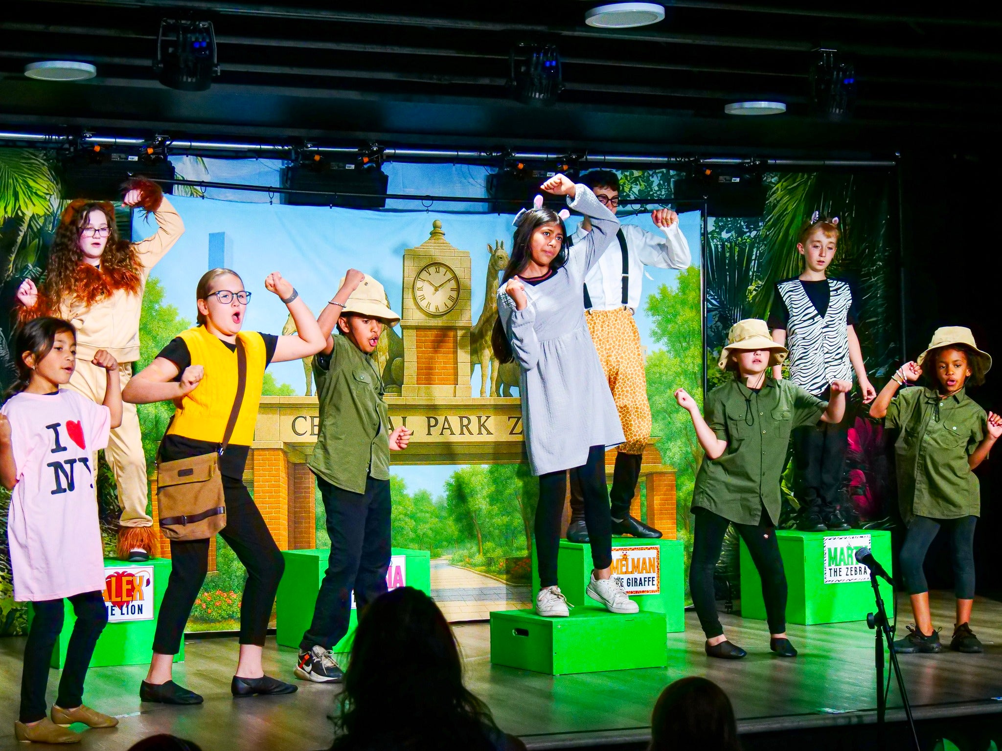 Custom Theater Backdrop UK Service CT1