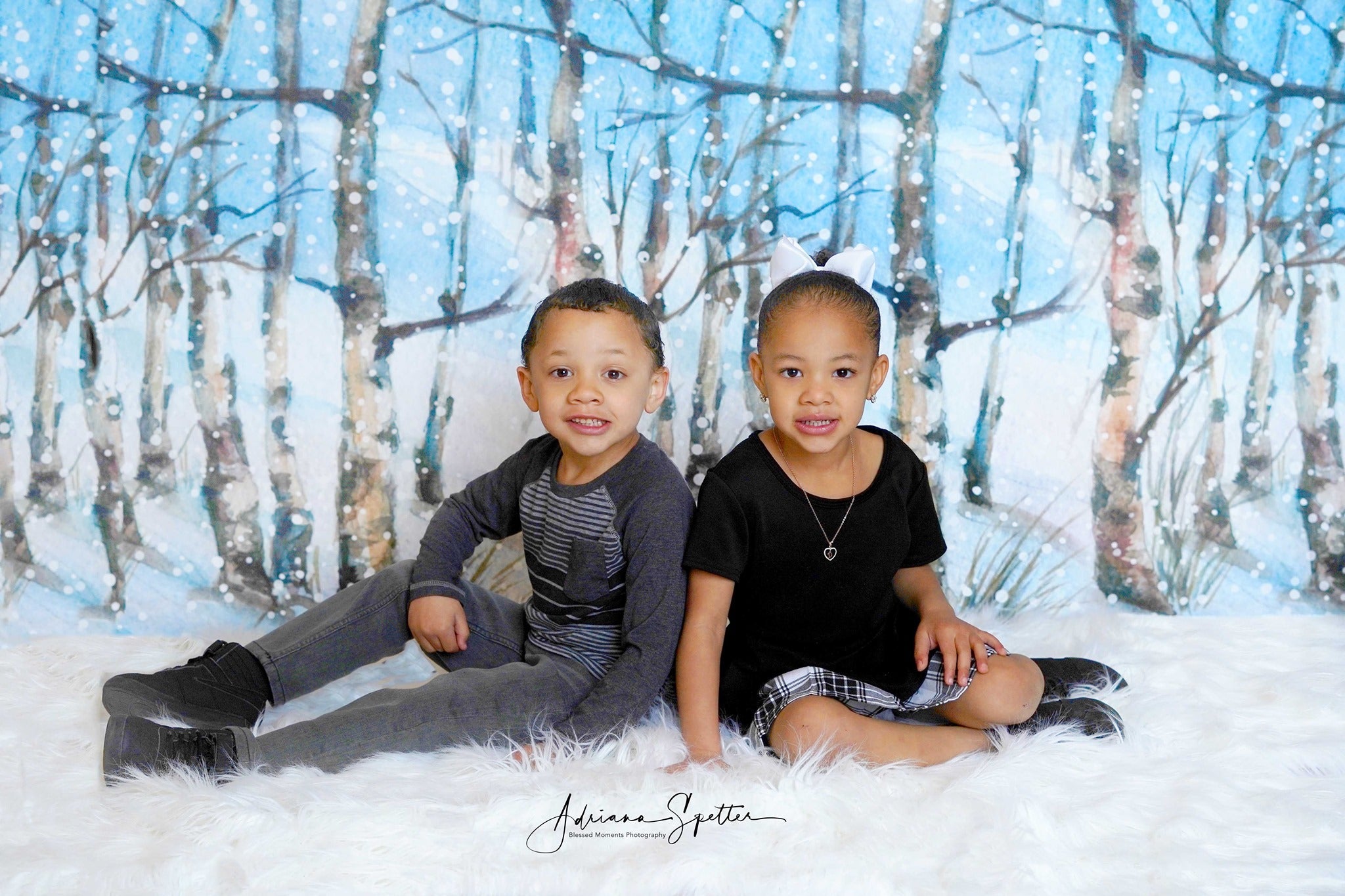 Winter Forest Backdrop Snowy Trees Wonderland Forest Backdrop UK MRR10-35