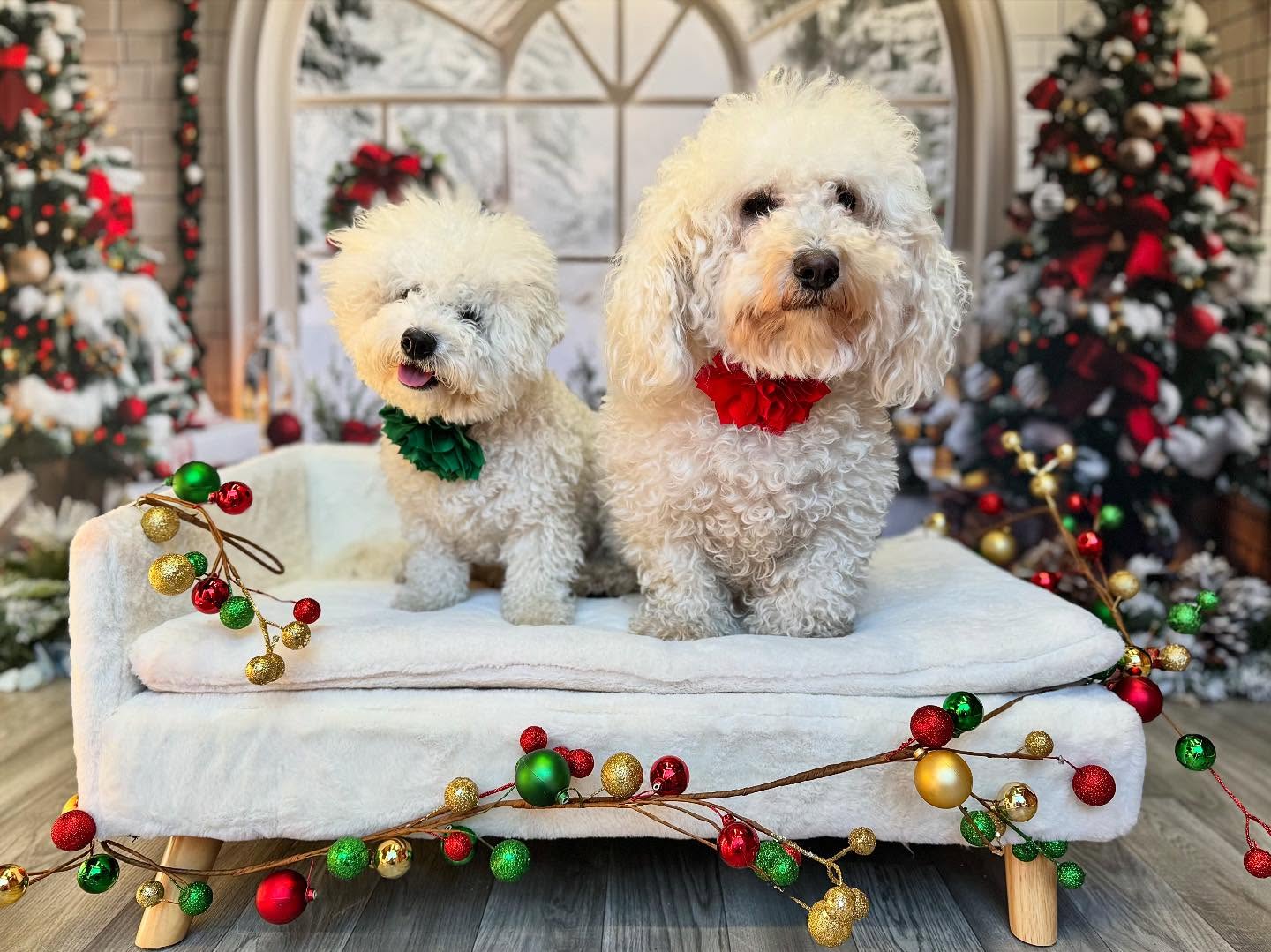 Christmas Arched Window Decorations Backdrop UK RR7-690