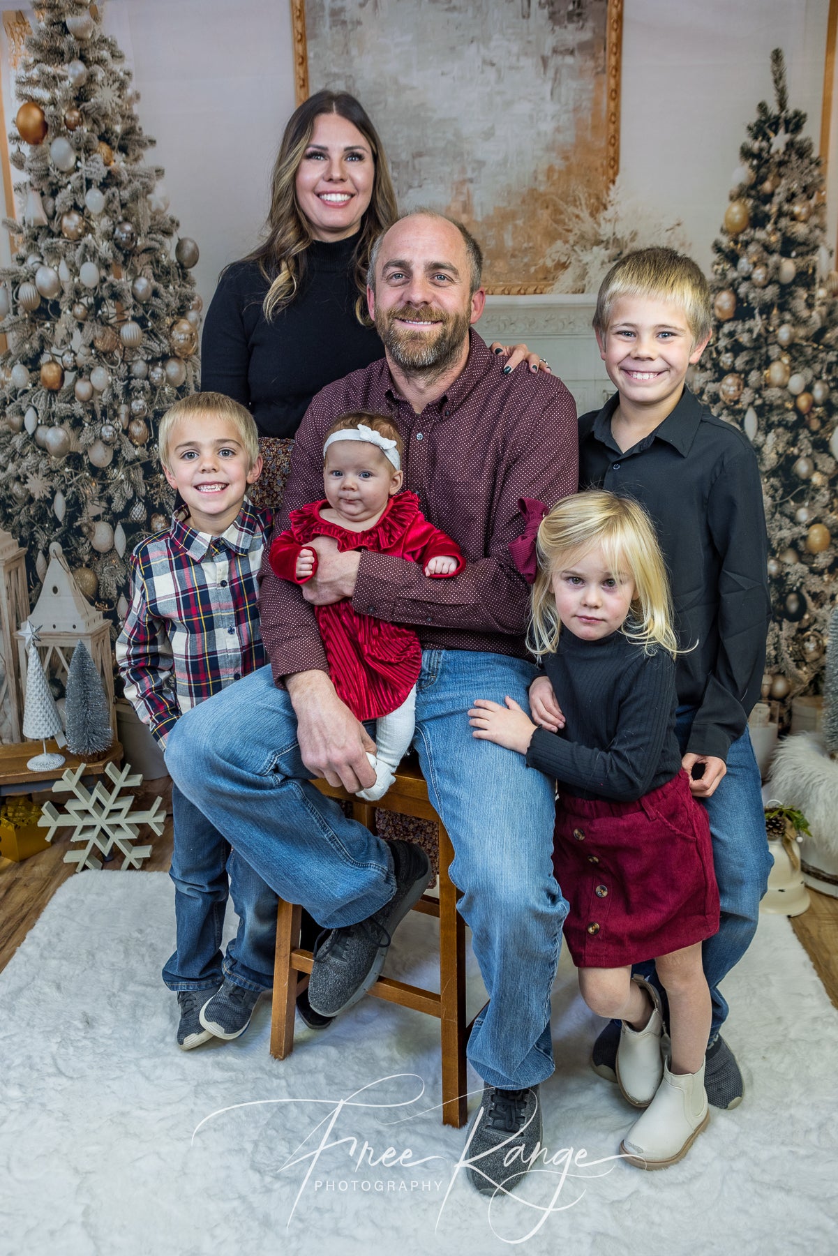 Christmas Holiday Photography Studio Backdrop D816