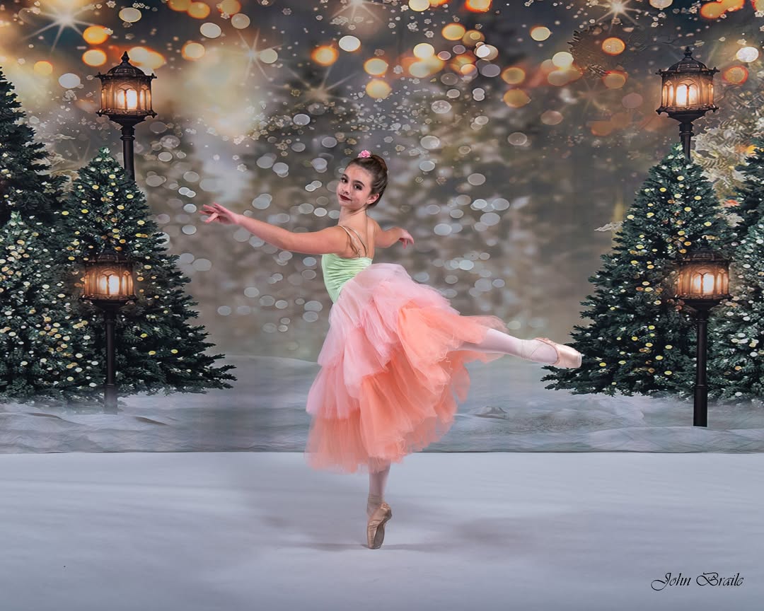 Outdoor Christmas Trees Lights Flashing backdrop UK  G-1440