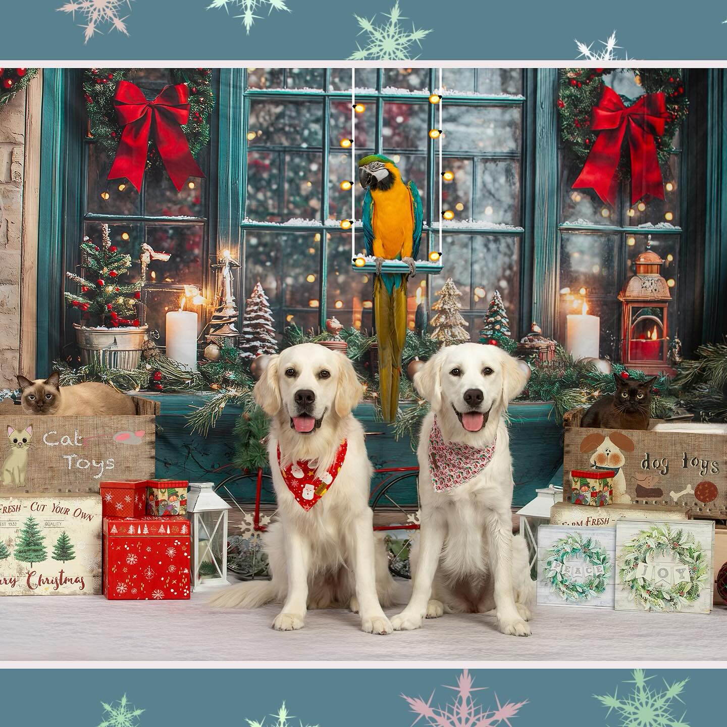 Christmas Wreath Glowing Window Backdrop UK RR8-109