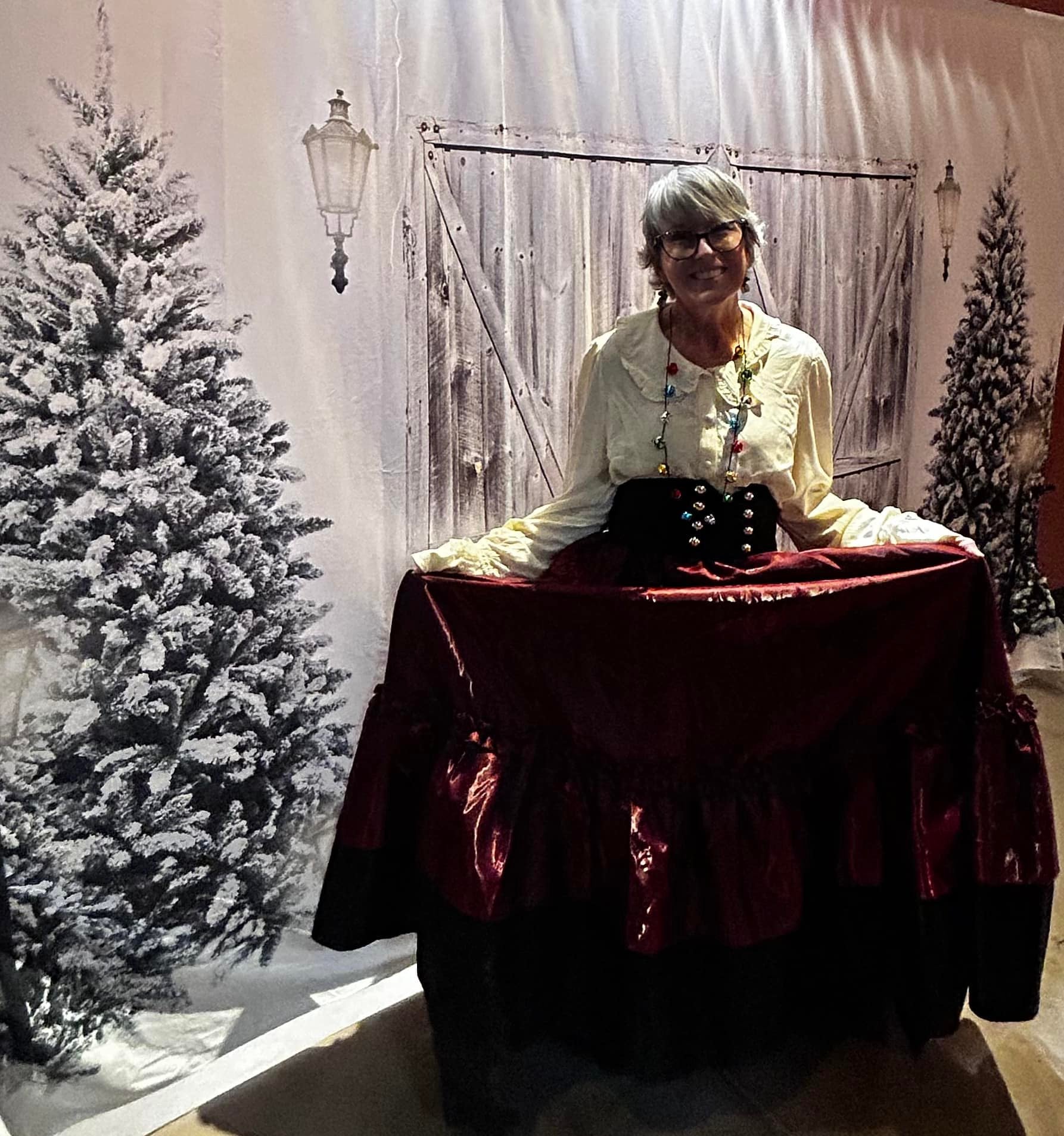 Christmas Barn Door Backdrop for Photography D821