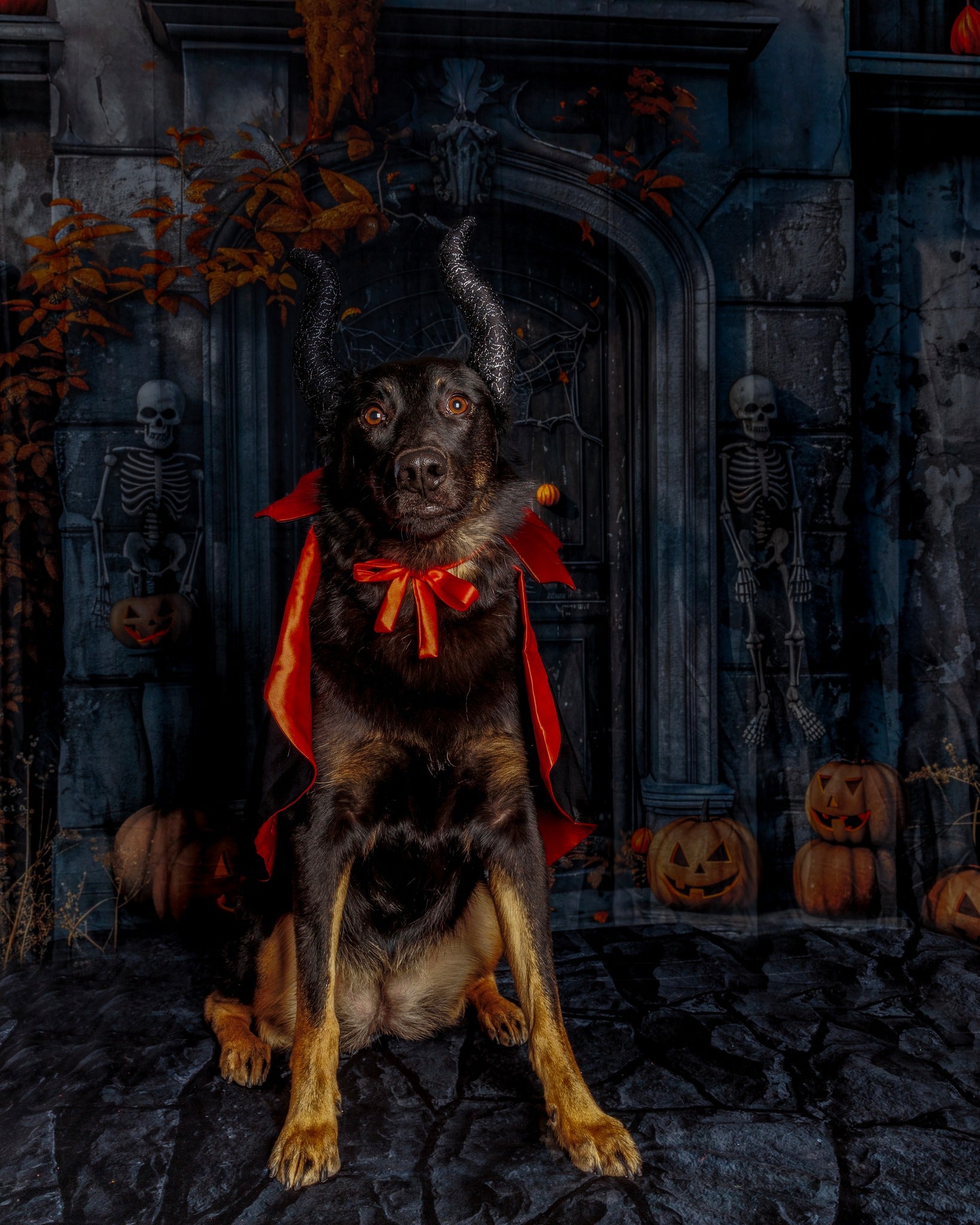 Skeleton Sentinels and Pumpkin Halloween Door Backdrop BRP8-196
