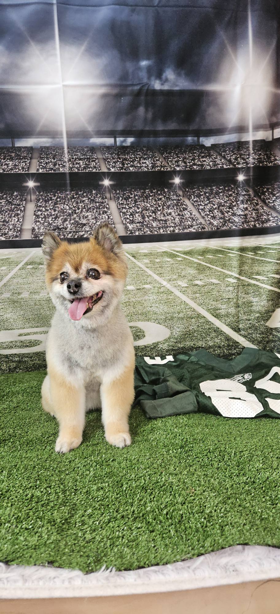 Football Field Night Stadium Photo Booth Backdrop UK G-261
