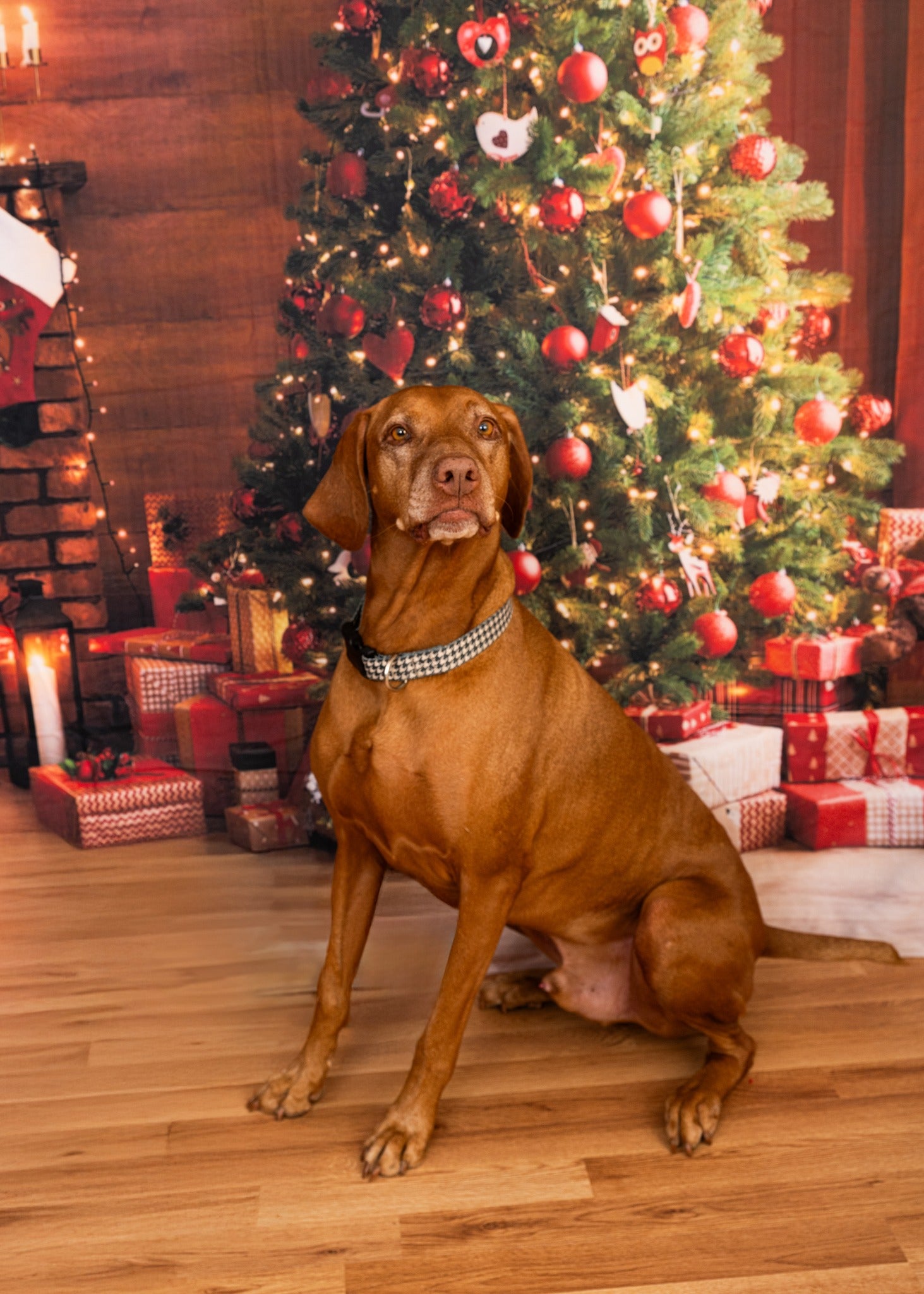 Christmas Glowing Tree Fireplace Gifts Backdrop UK M9-81