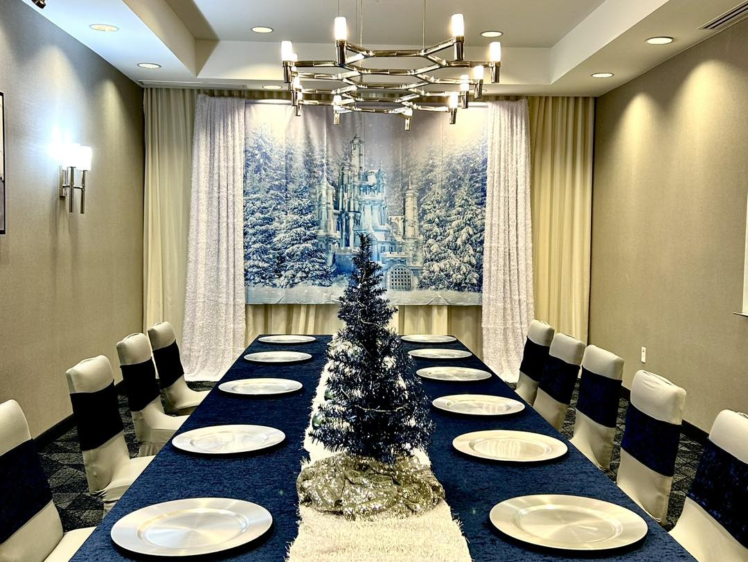 Wonderland Magic Ice Castle Winter Backdrop D852