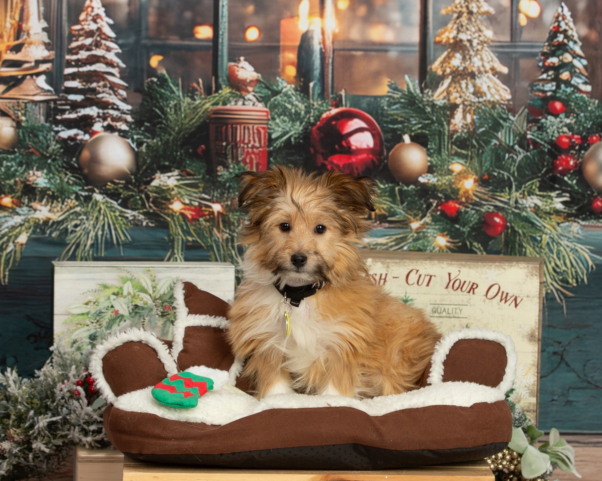 Christmas Wreath Glowing Window Backdrop UK RR8-109