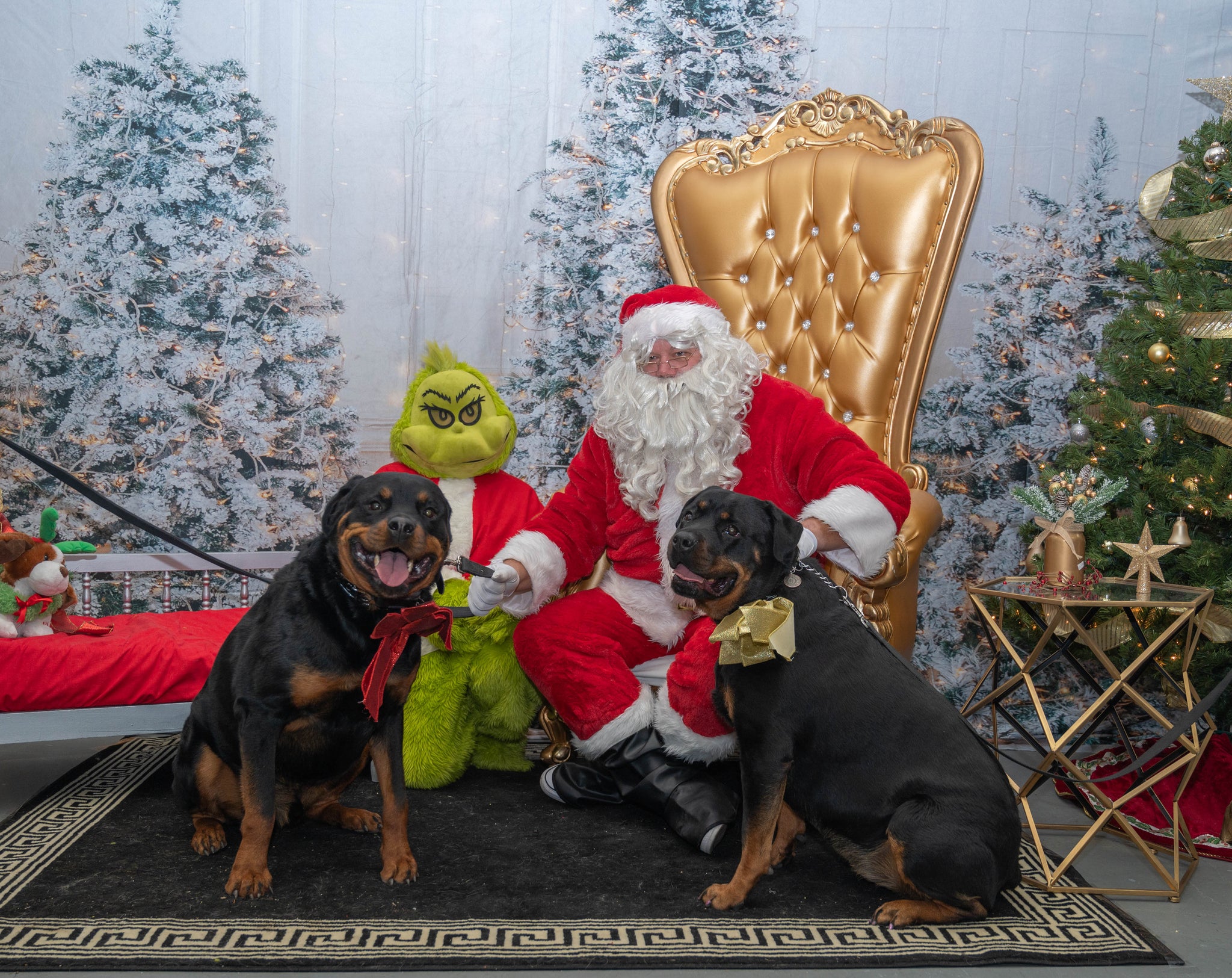 Glowing Christmas Tree Photo Booth Backdrop UK M9-16
