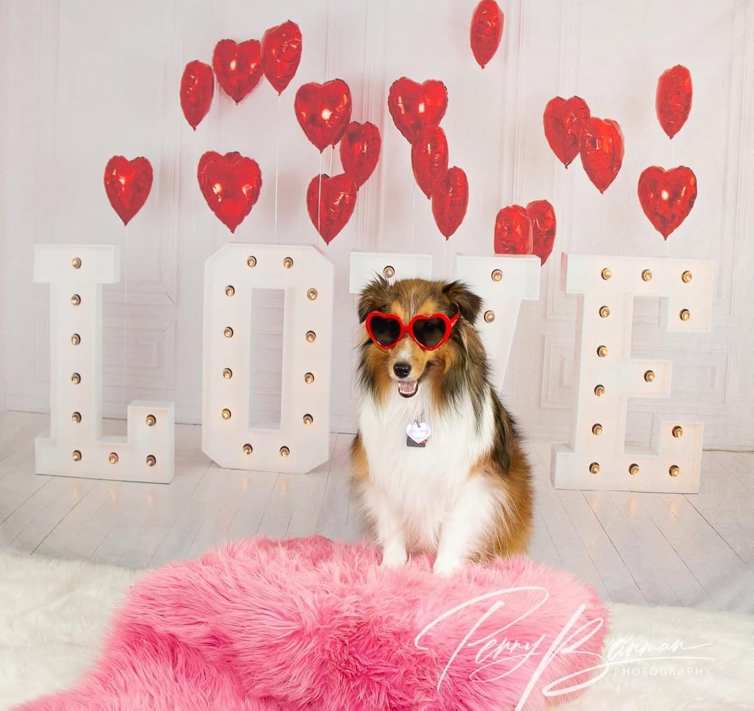 Valentine¡¯s Day Red Heart Balloons LOVE Backdrop SH-856