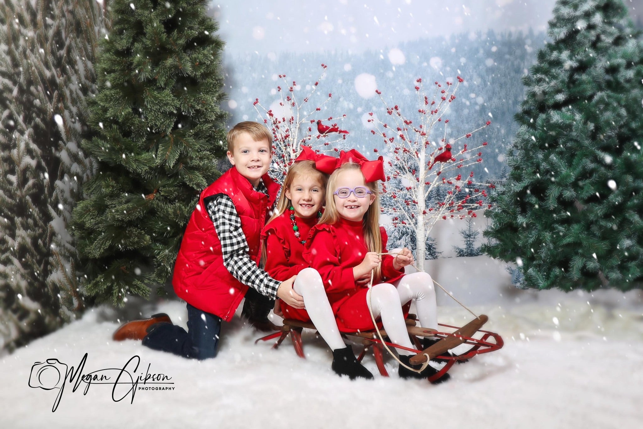 Gray Snow Scene backdrop UK for Christmas GX-1074