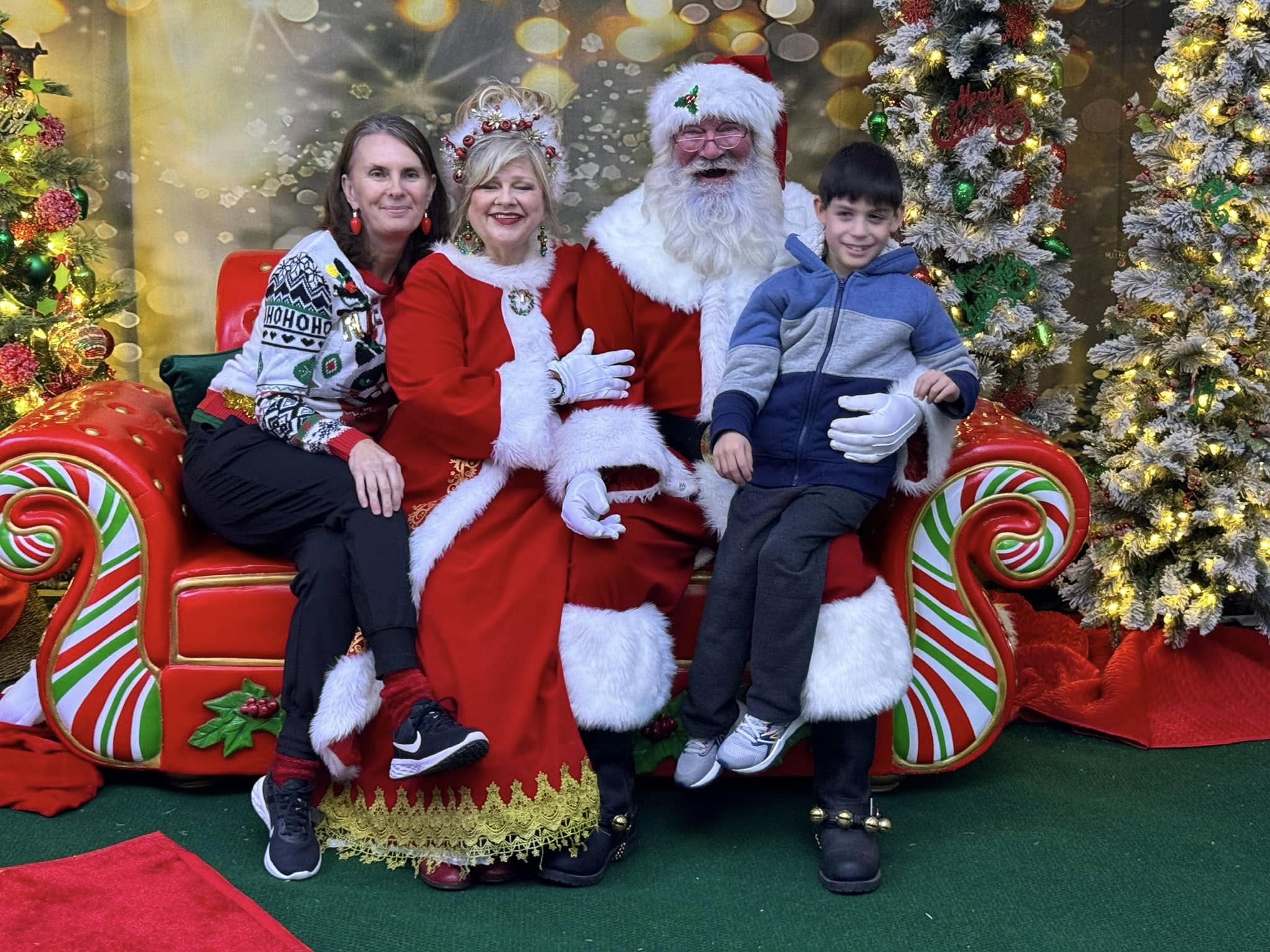 Outdoor Christmas Trees Lights Flashing backdrop UK  G-1440