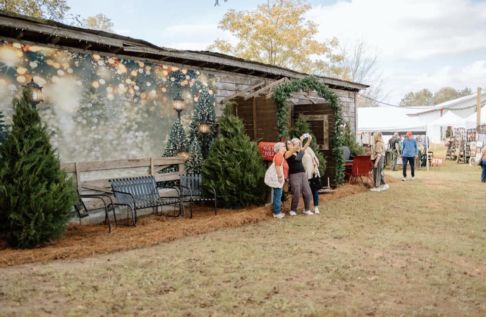 Outdoor Christmas Trees Lights Flashing backdrop UK  G-1440