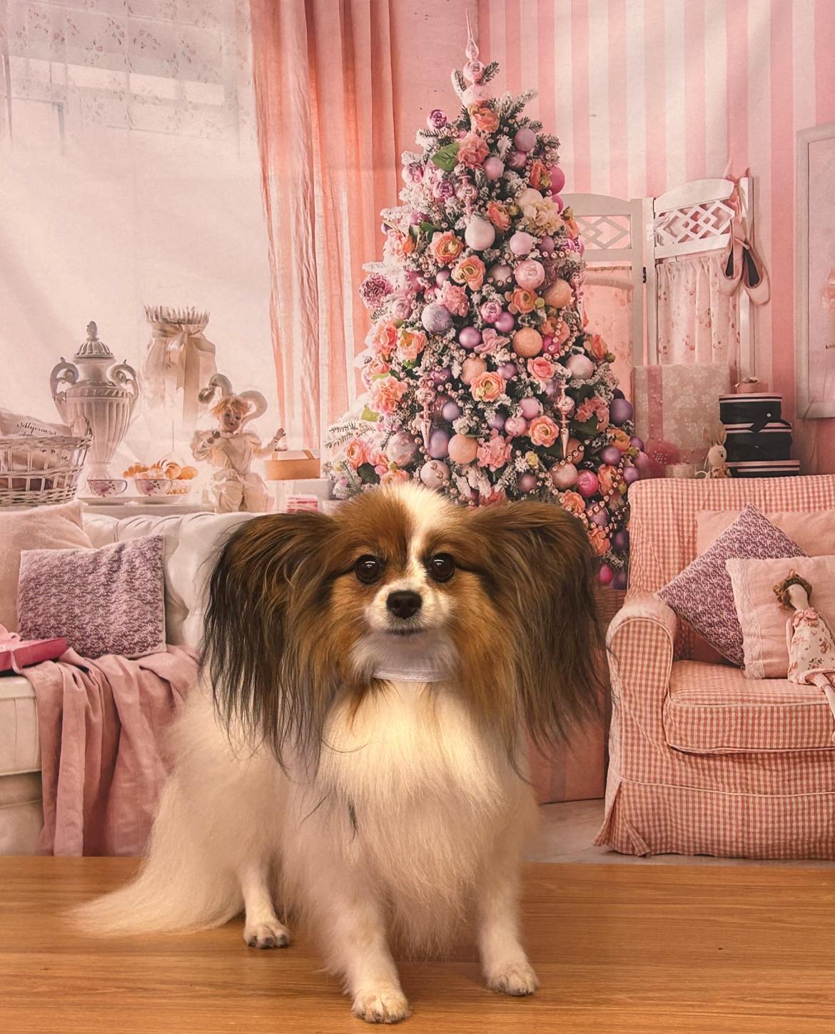 Pink Christmas Tree Fireplace Sofa Decor Backdrop UK M6-143