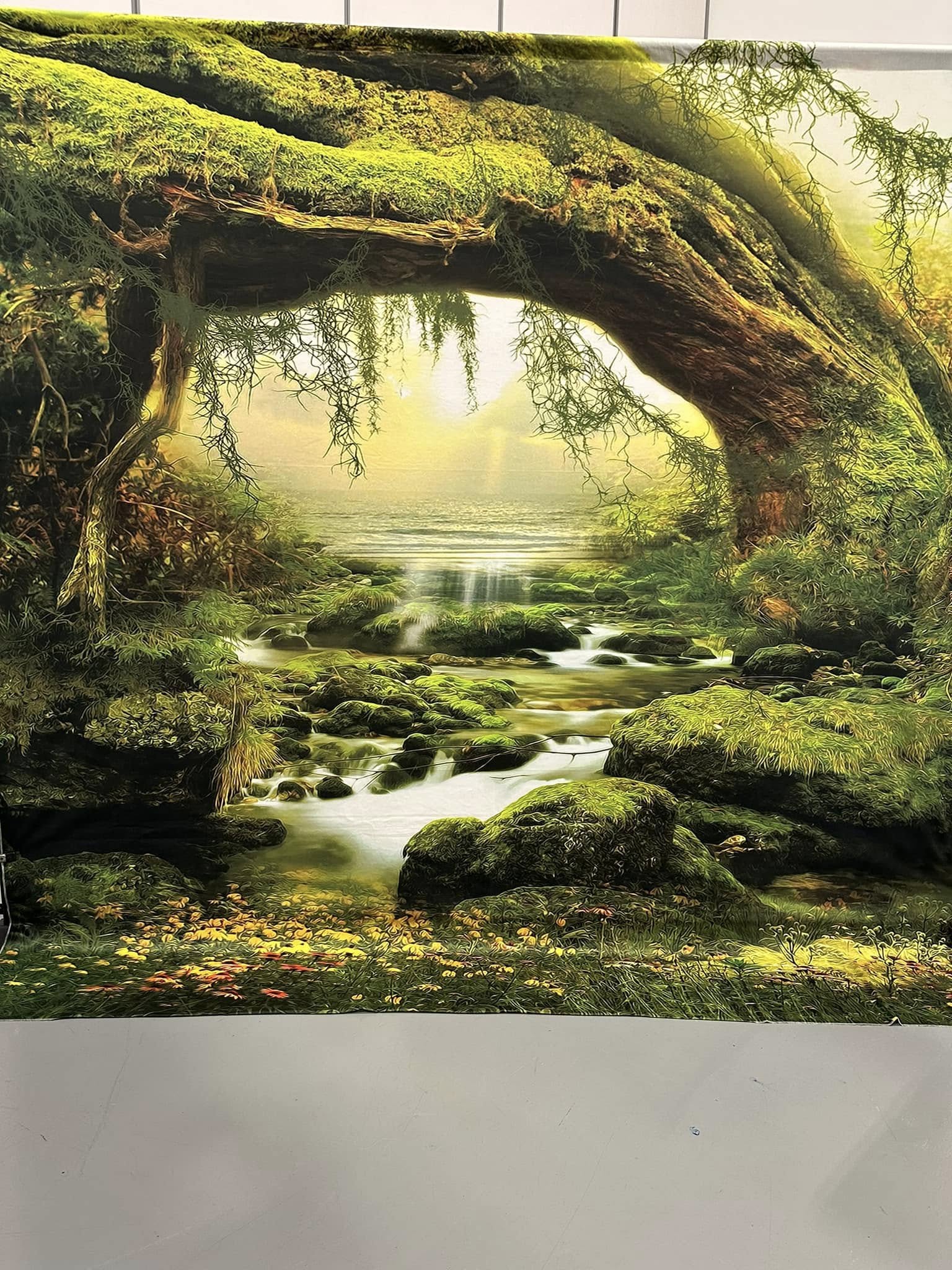 Big Tree Creek Forest Photography Backdrop UK F-165
