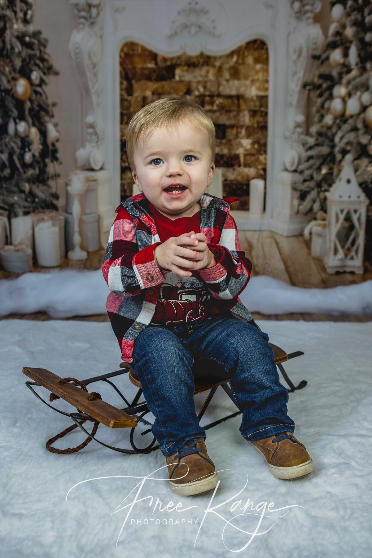 Christmas Holiday Photography Studio Backdrop D816