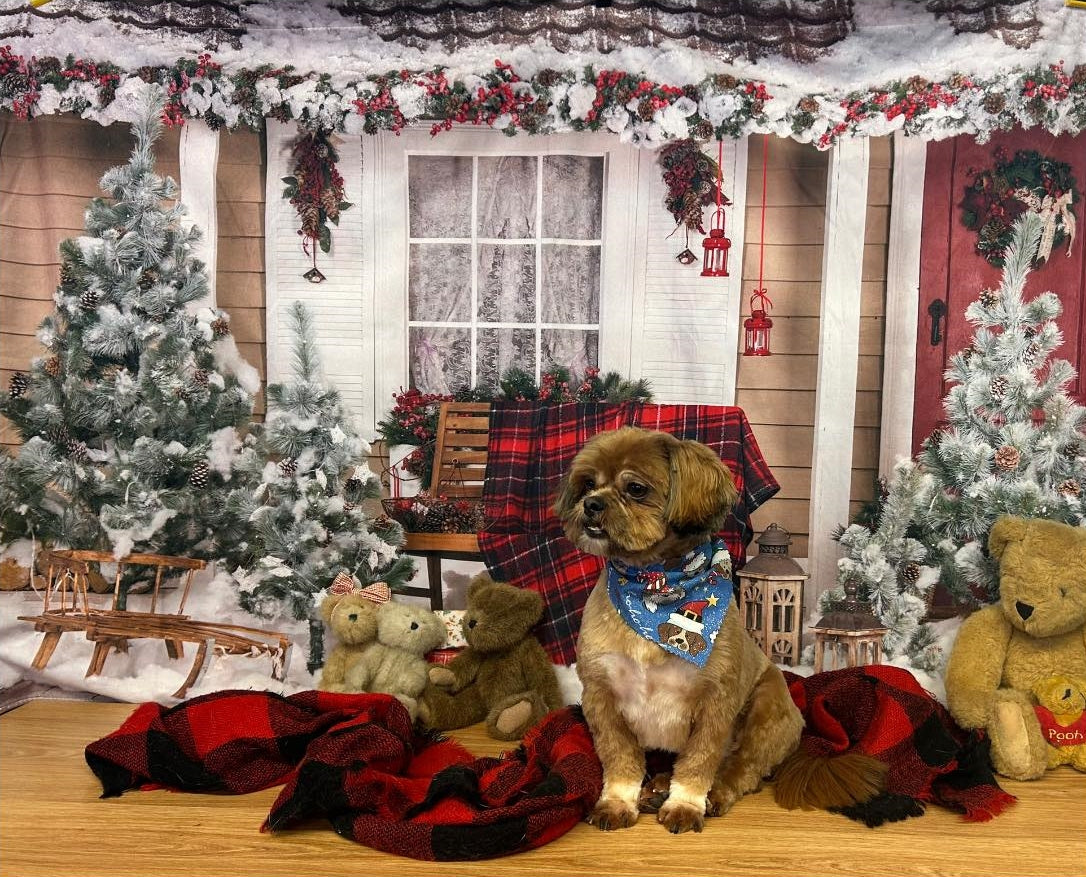Cotton Christmas Decoration House Box Gift Backdrop UK DBD-H19184