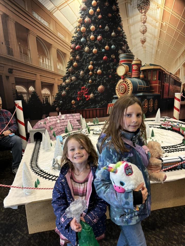 Big Christmas Tree Little Train Backdrop UK M8-68