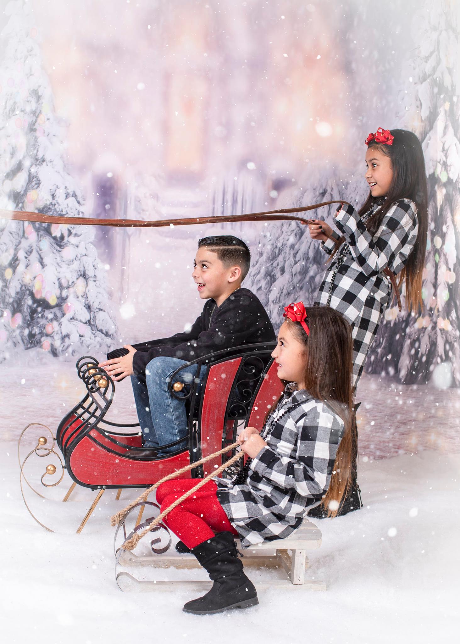 Winter Snow Christmas Tree Bokeh Photo Studio Backdrop G-1194