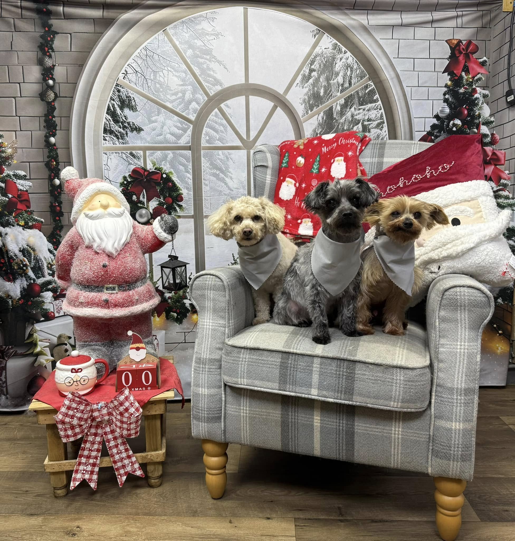 Christmas Arched Window Decorations Backdrop UK RR7-690