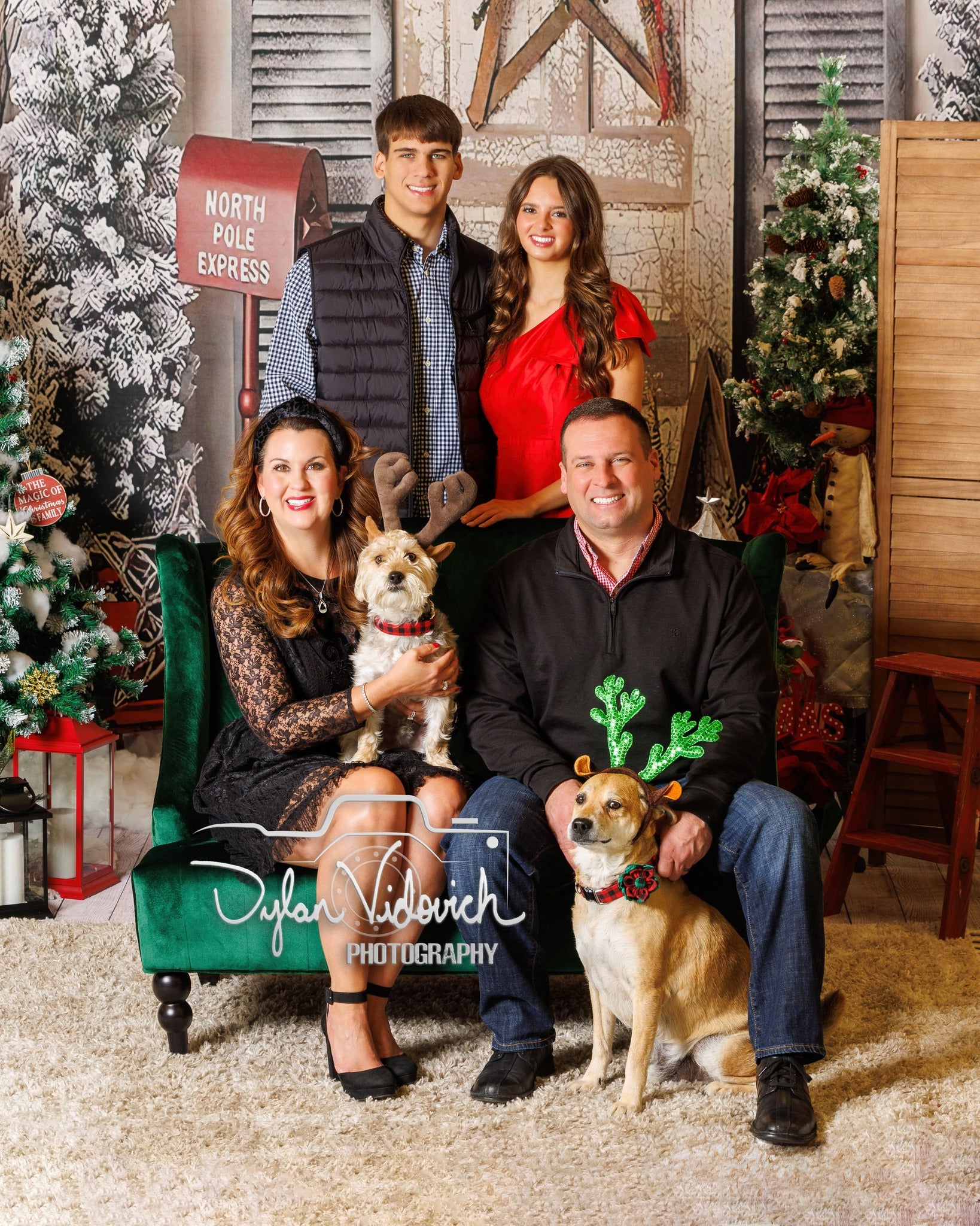 Christmas Trees Red Postbox Christmas backdrop UK Decorated House Background GX-1033