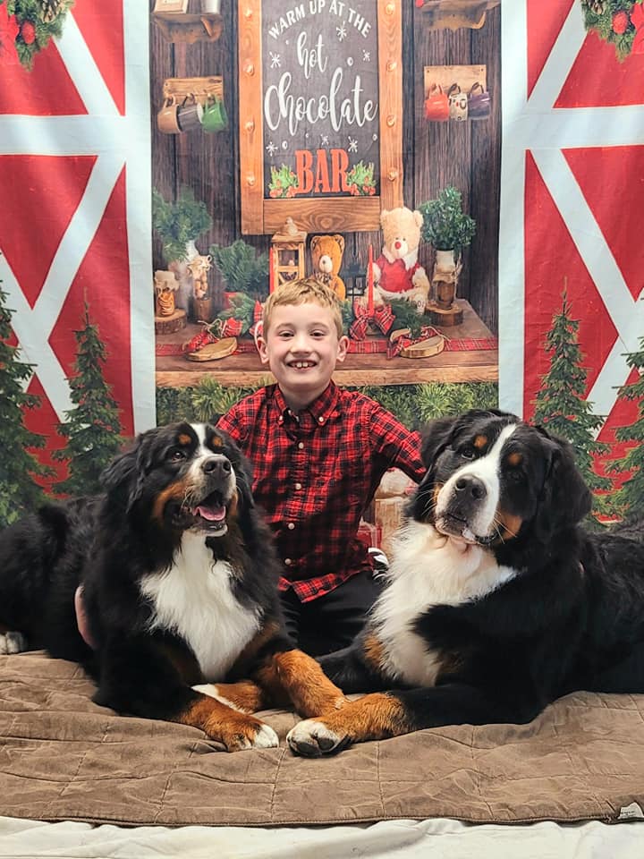 Fir Tree Wreath Christmas Hot Chocolate Backdrop UK D932