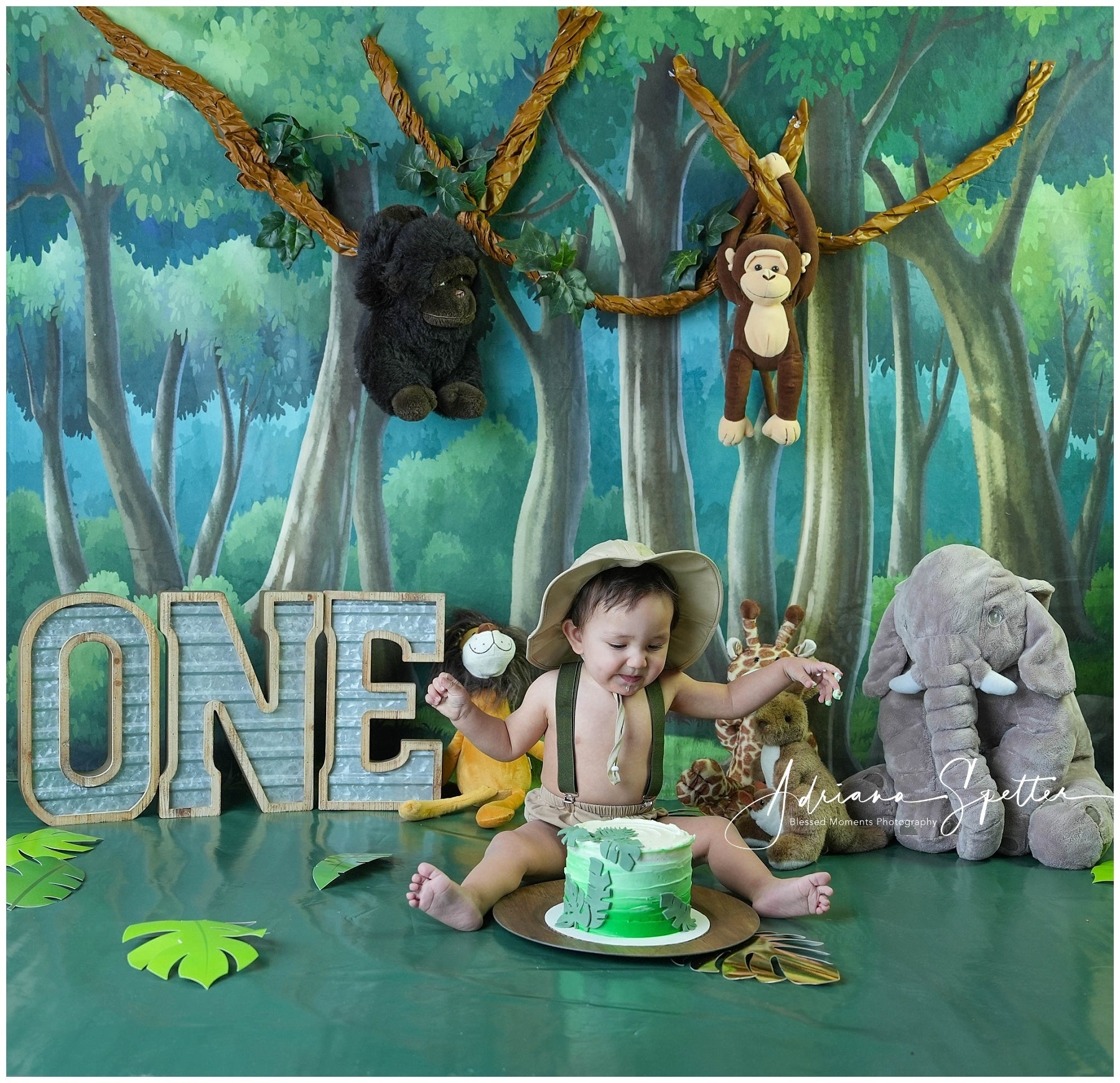 Newborn Backdrop Enchanted Forest Trees Kids Photo Backdrop UK MRR10-24