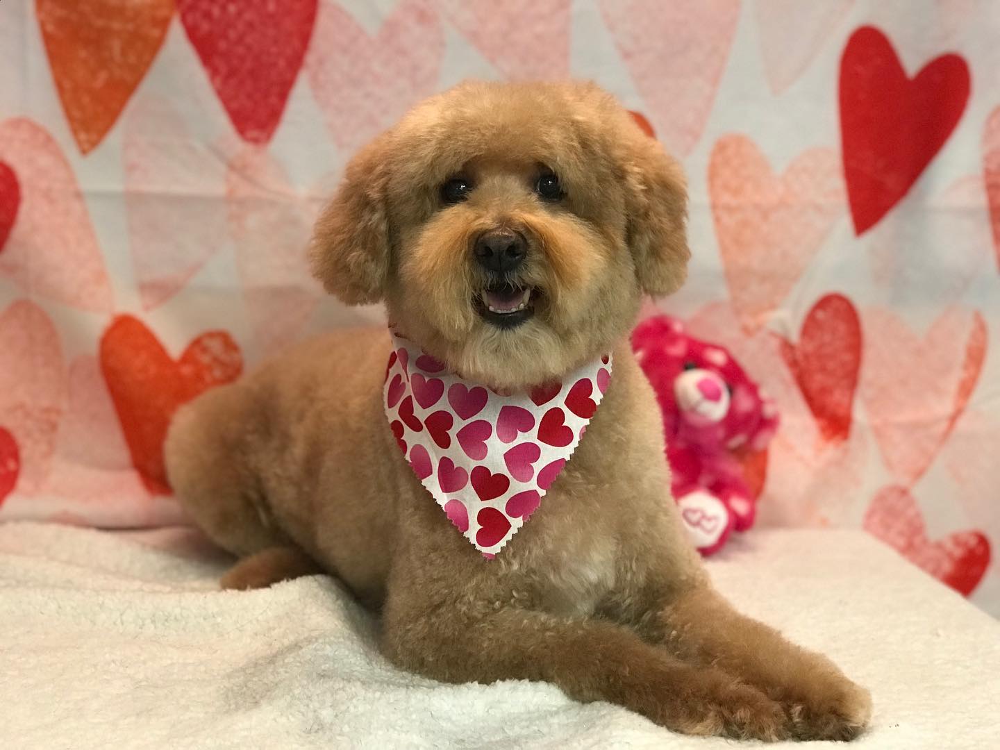 Watercolor Love Heart Valentine Photography Backdrop SH-852