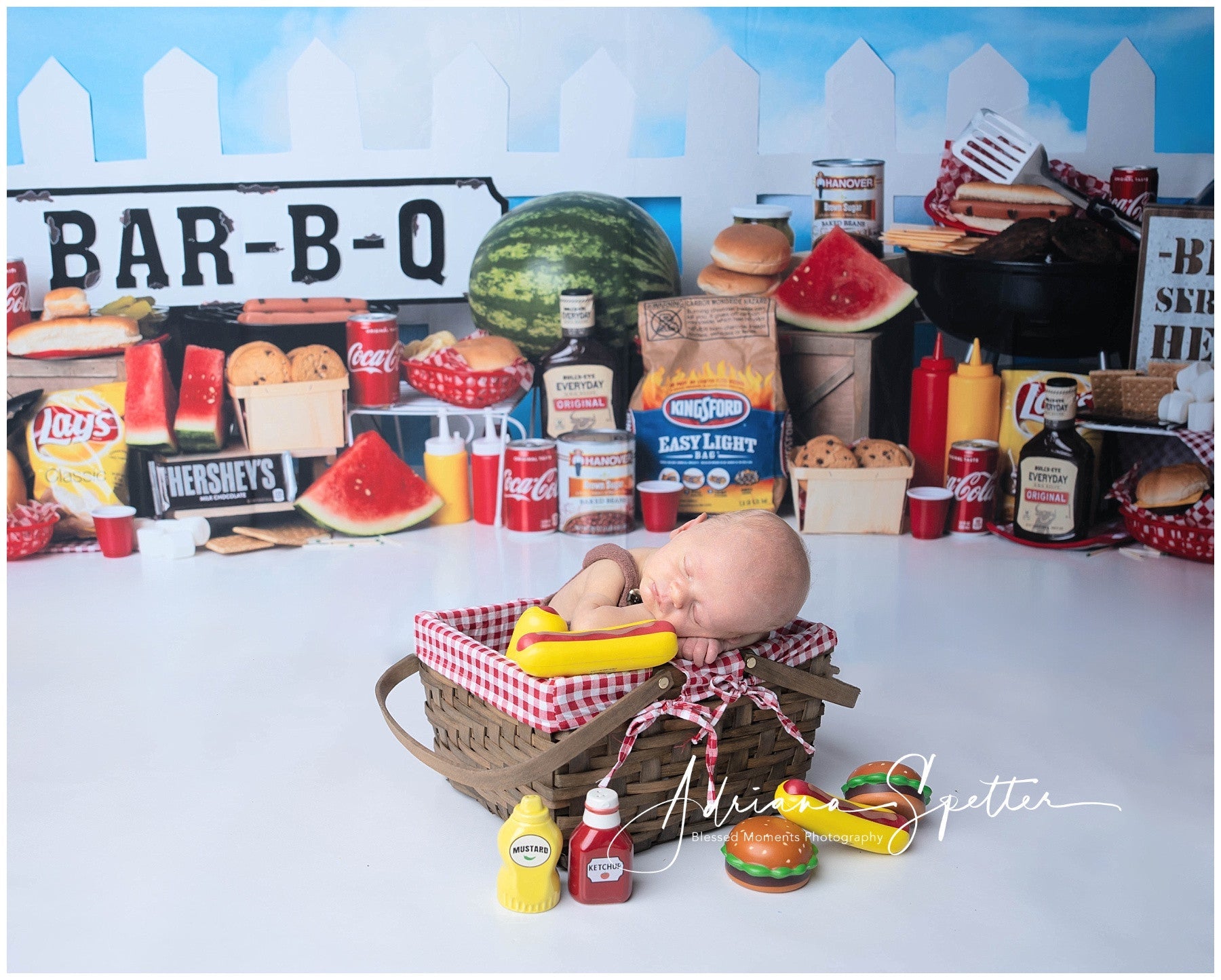 Newborn Backdrop BBQ Party Fairy Lights Children Backdrops UK MRR10-22