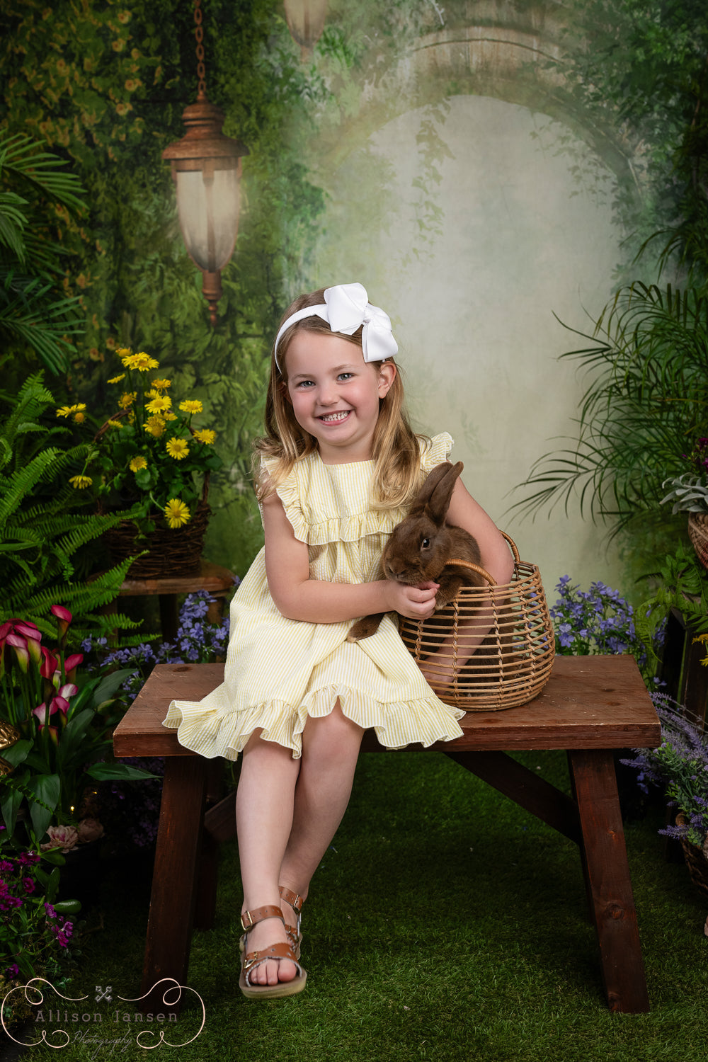 Enchanted Forest Backdrop Magical Misty Arch Lanterns Forest Backdrop UK MRR9-94