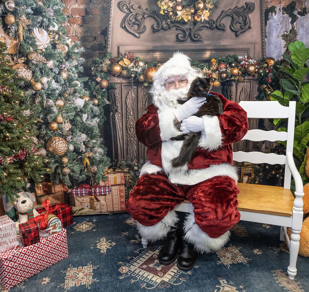 Christmas Tree Gifts Fireplace Photo Booth Backdrops KAT-31