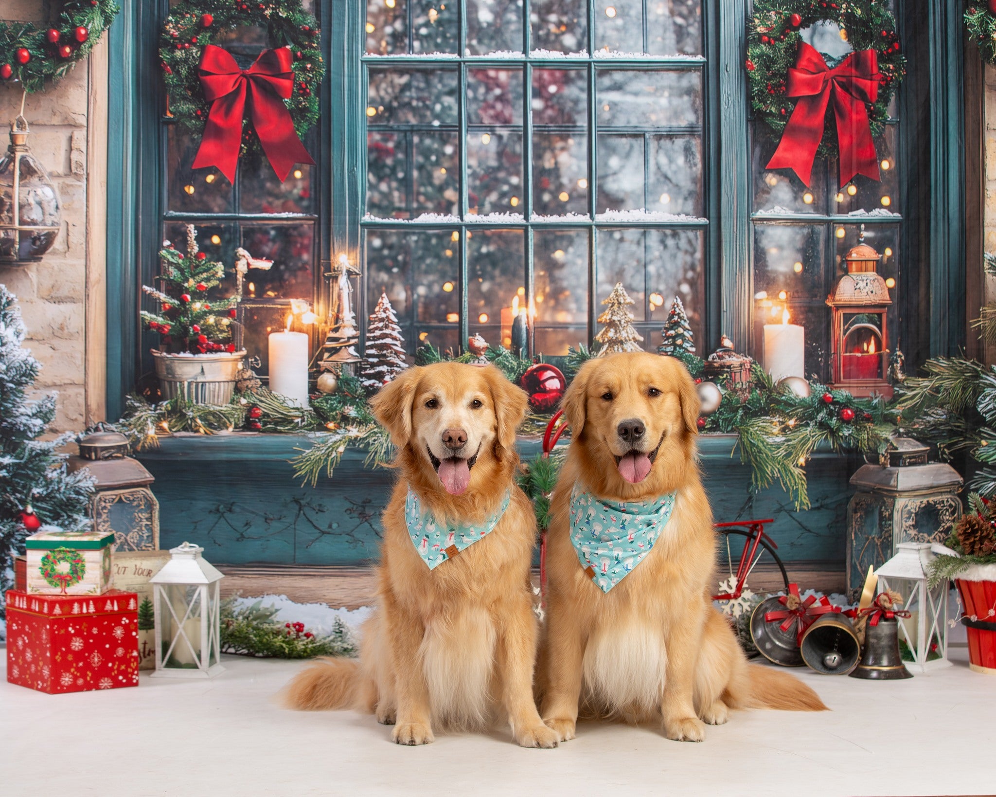 Christmas Wreath Glowing Window Backdrop UK RR8-109