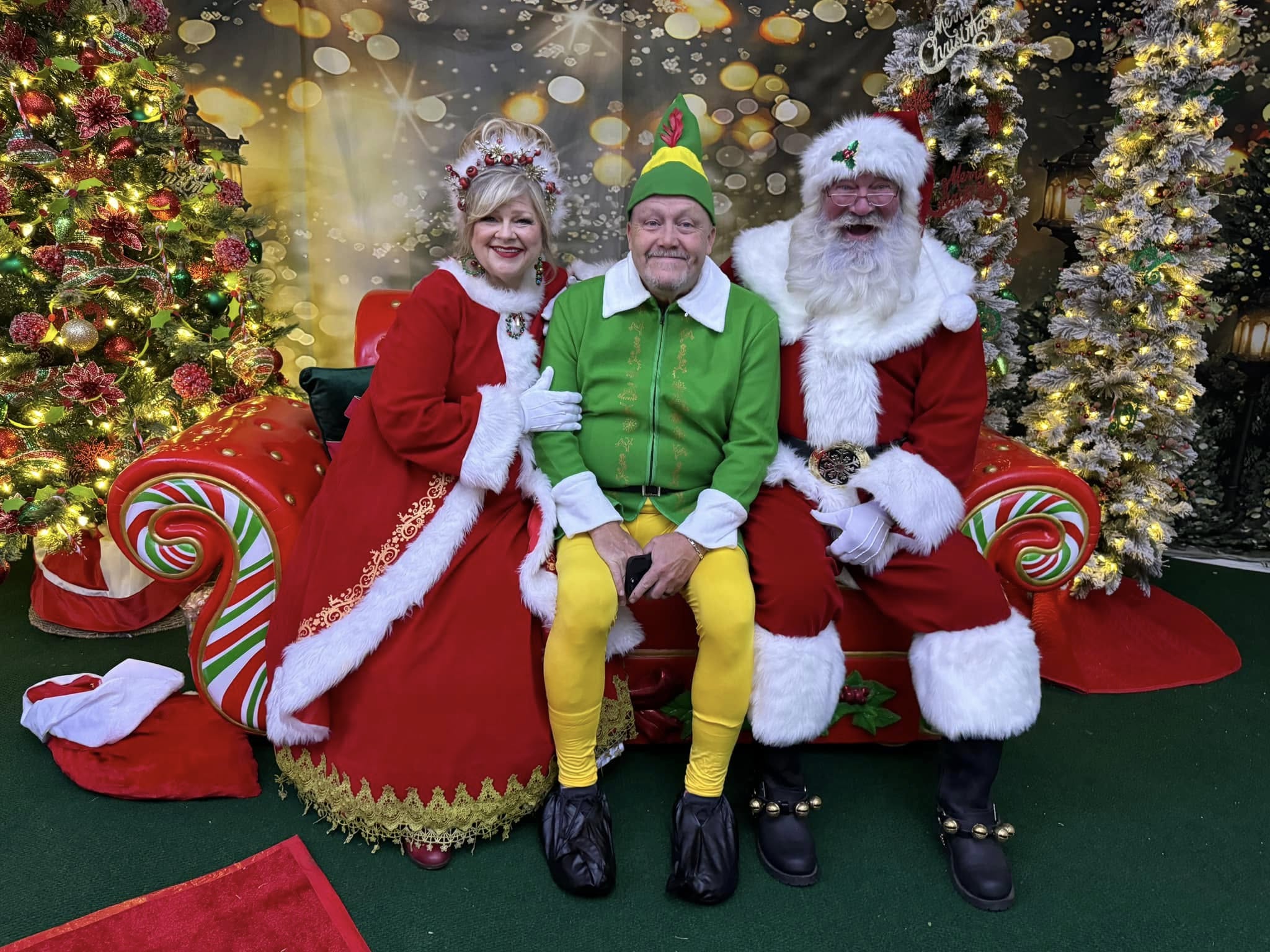 Outdoor Christmas Trees Lights Flashing backdrop UK  G-1440