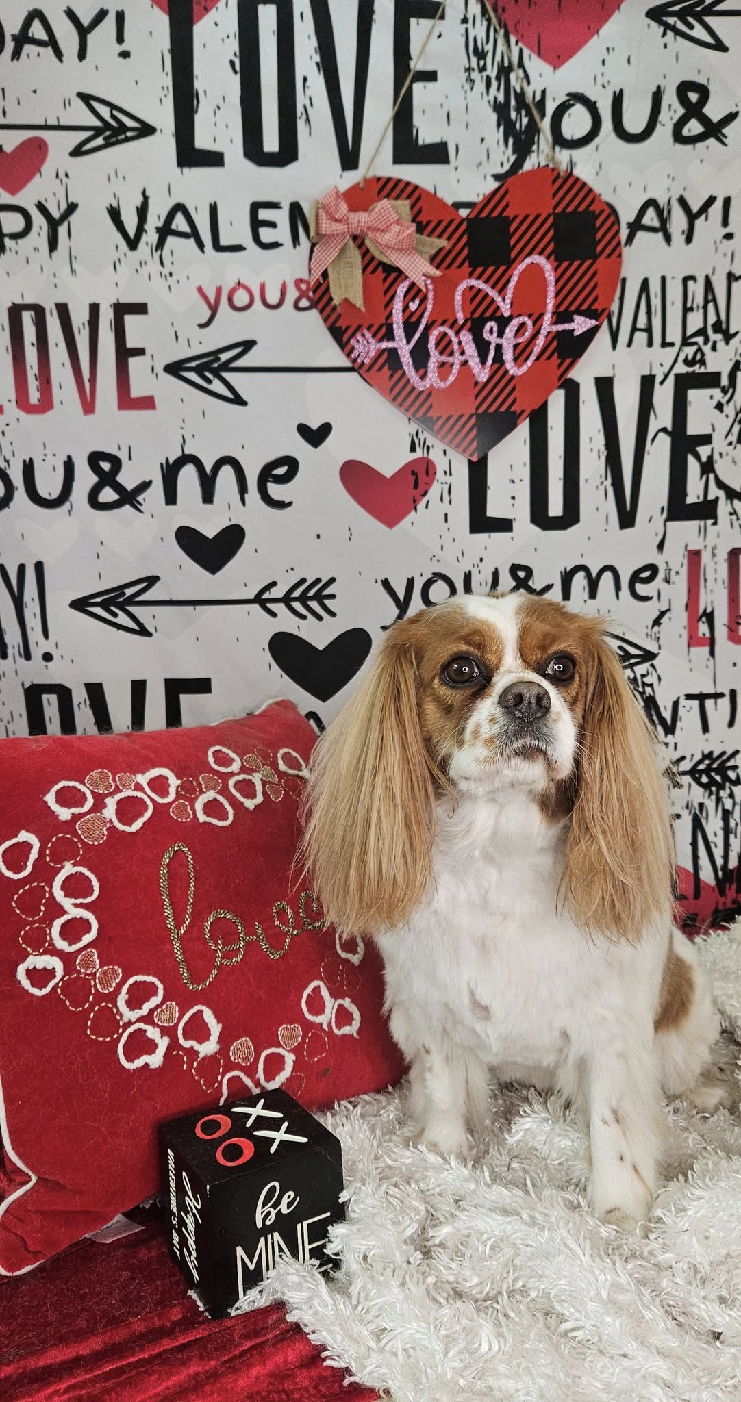 Valentine's Day Cupid's Arrow Romantic Text Graffiti Wall Wood Floor Backdrop M12-19