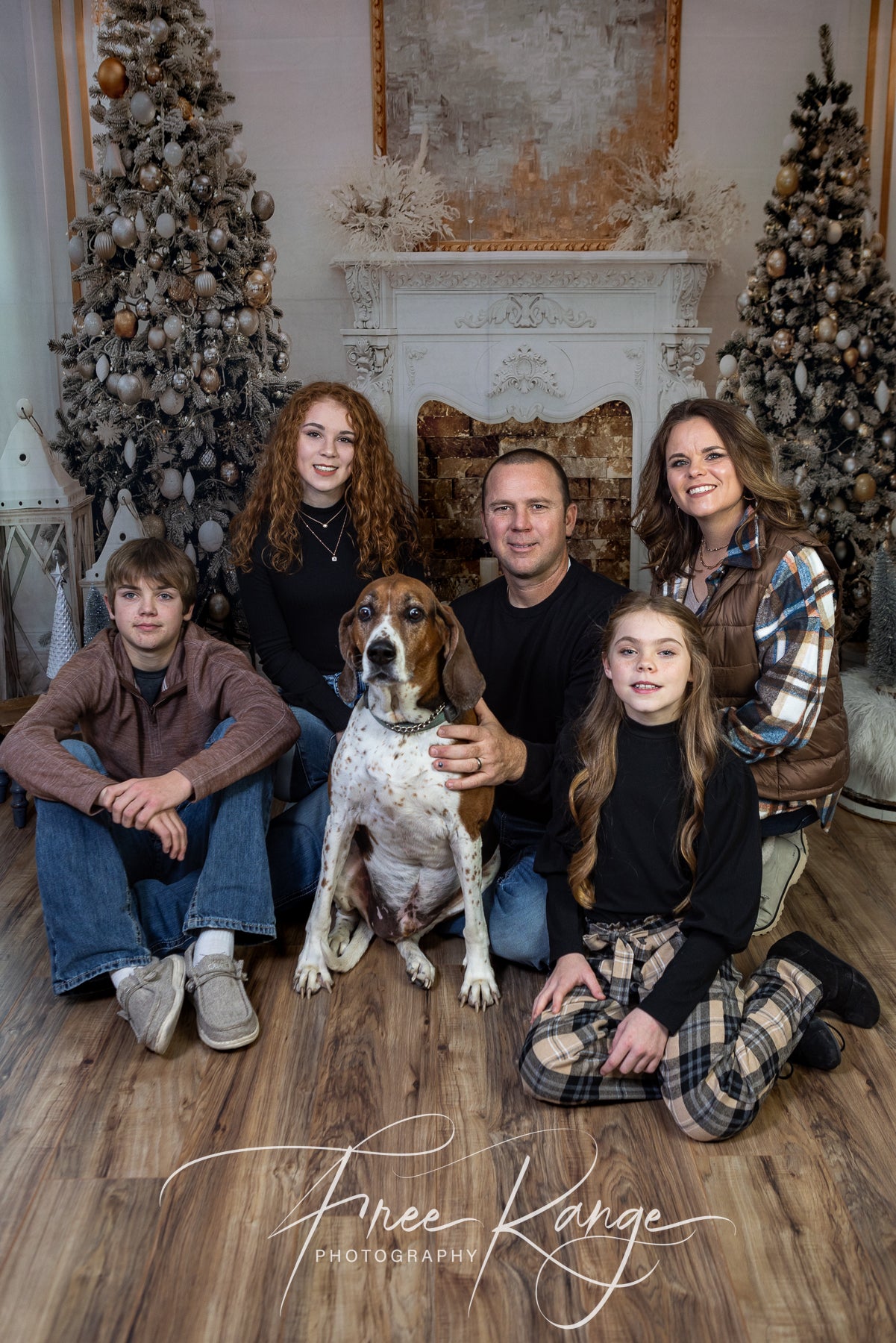 Christmas Holiday Photography Studio Backdrop D816