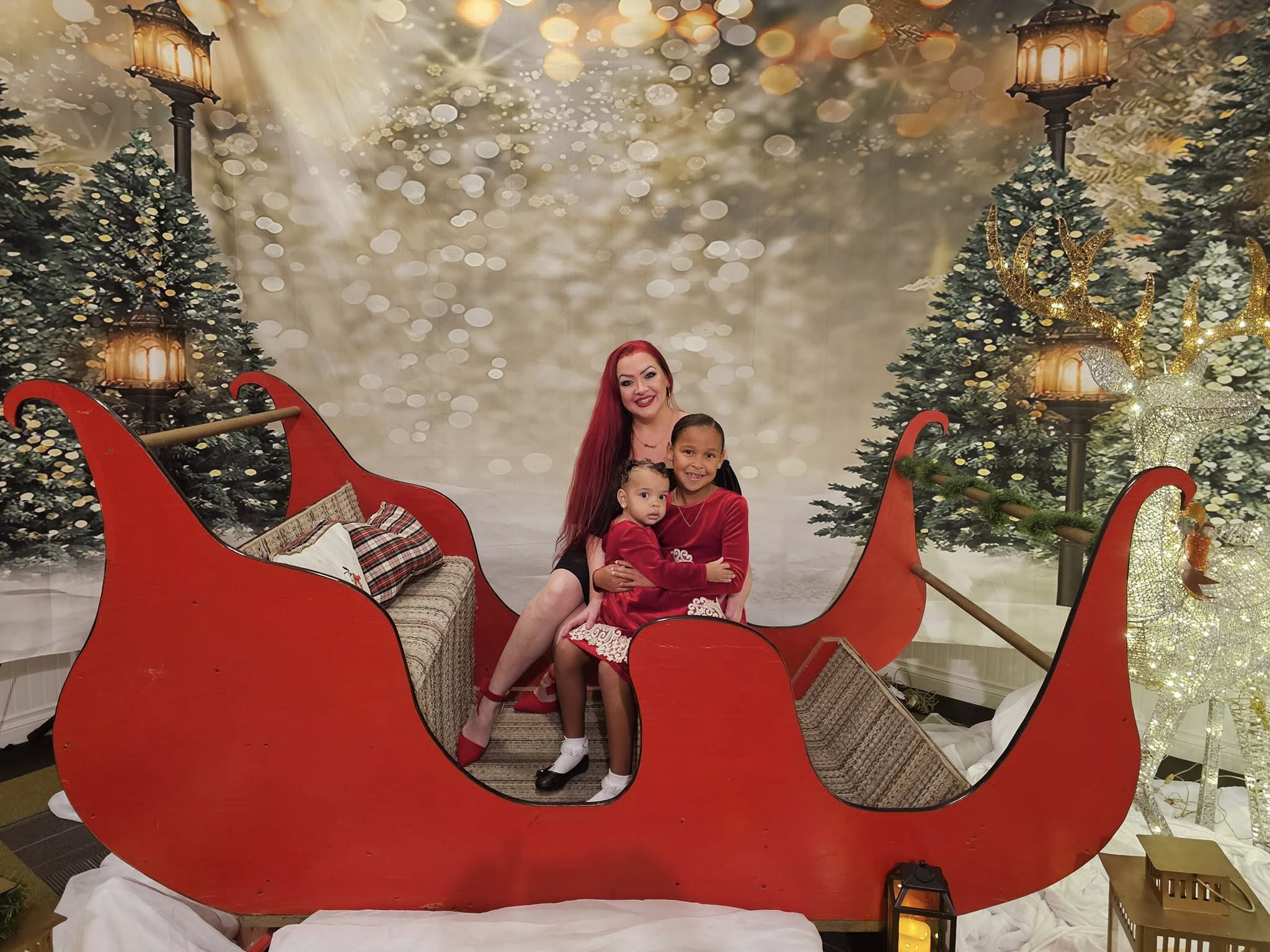 Outdoor Christmas Trees Lights Flashing backdrop UK  G-1440