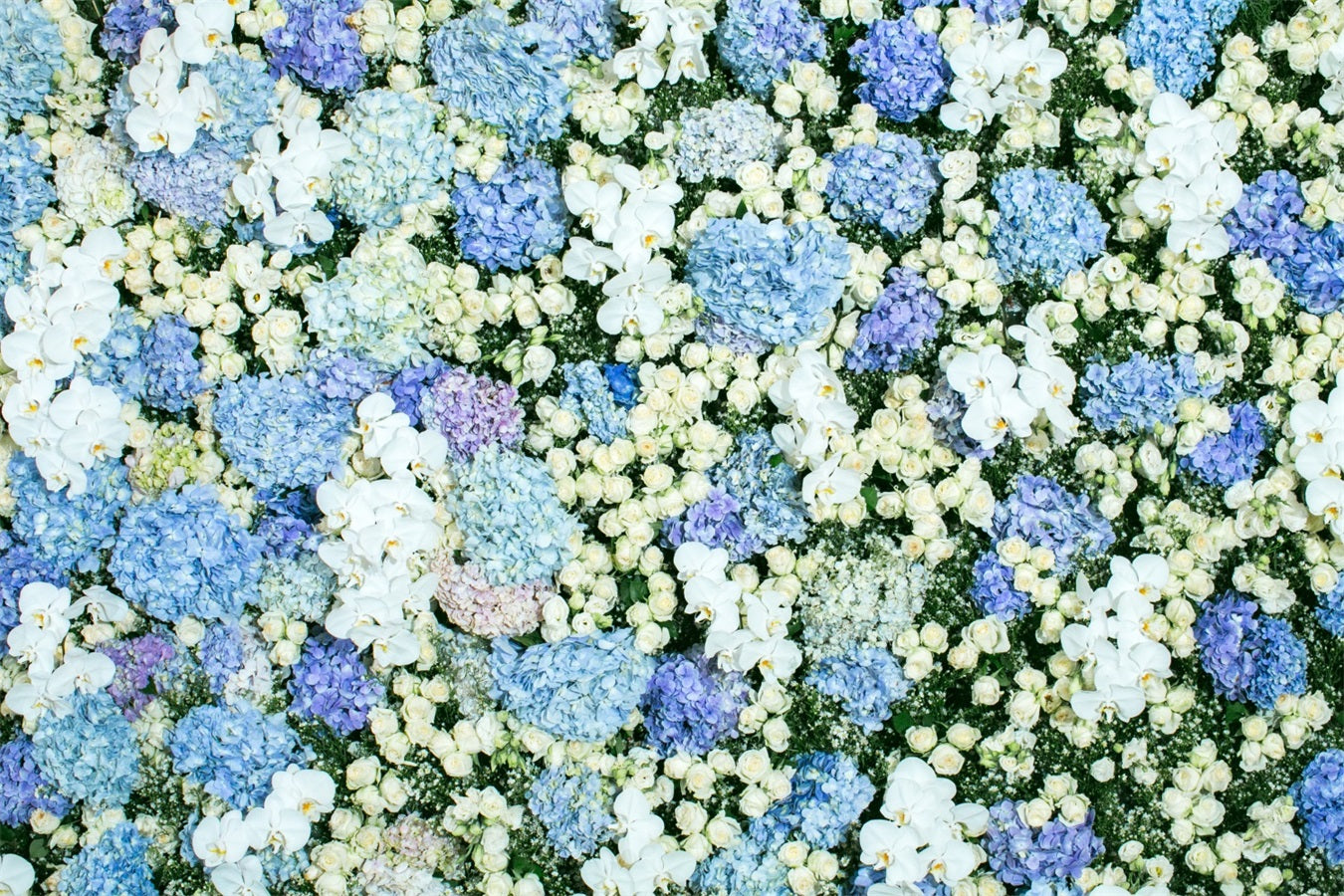 Spring Photography Backdrops Blue White Floral Wall Backdrop UK BRP11-518