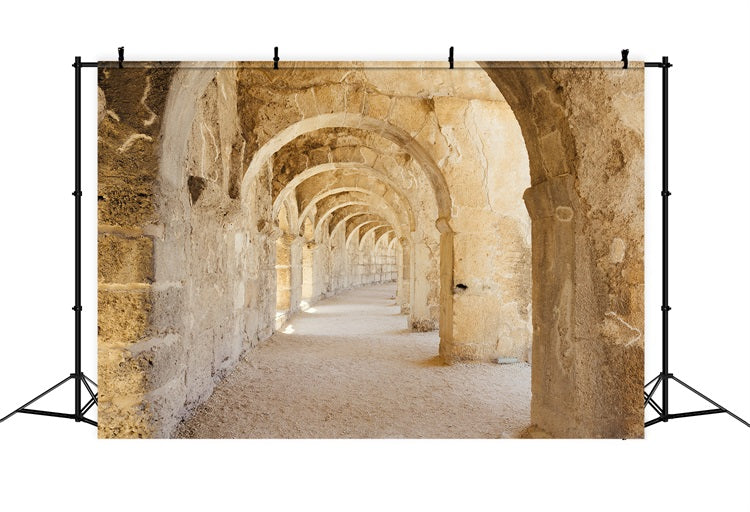 Architecture Backdrop Rustic Romanesque Stone Hallway Backdrop UK BRP12-648
