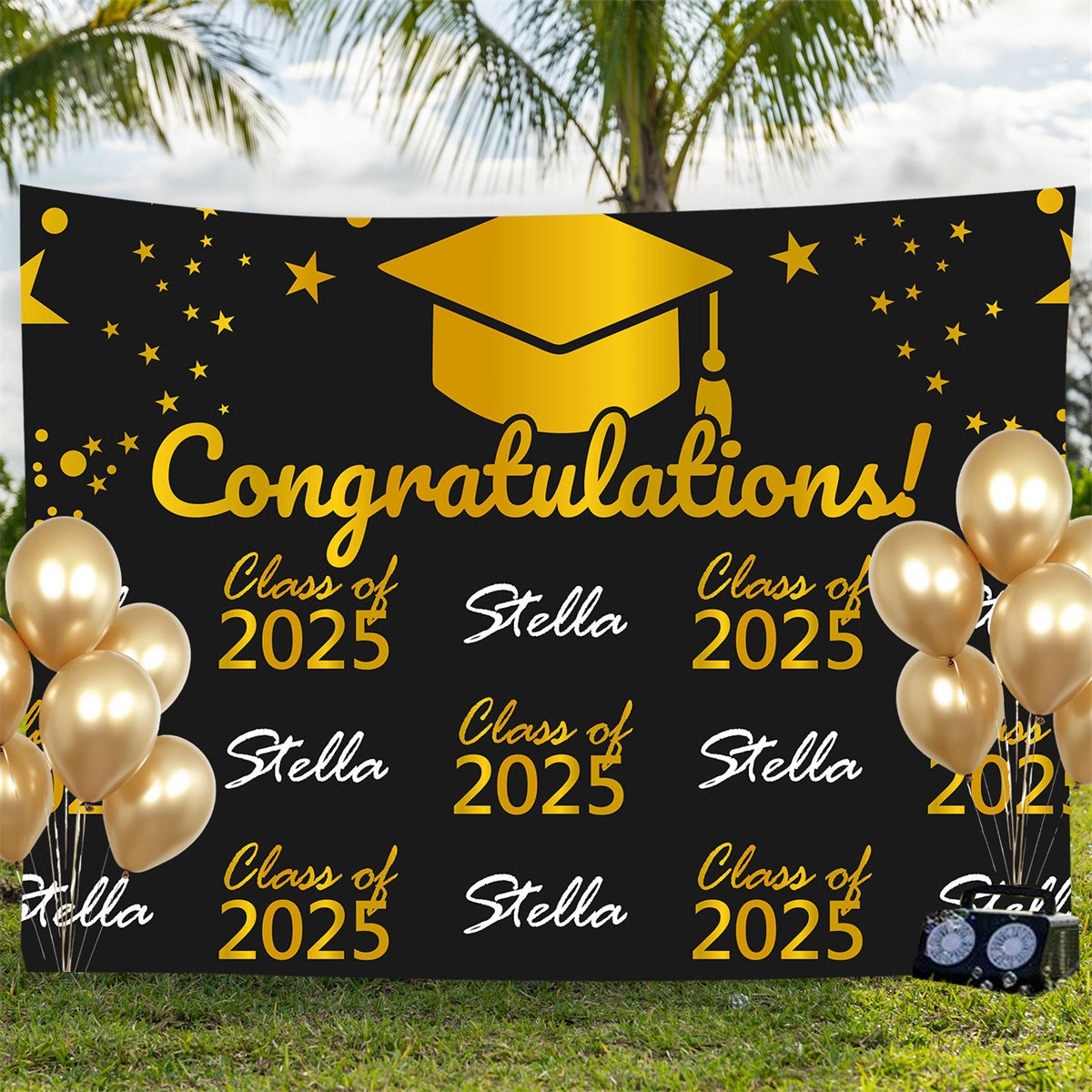 Personalized Graduation Backdrop Elegant Black Graduation Party Backdrop UK BRP3-3
