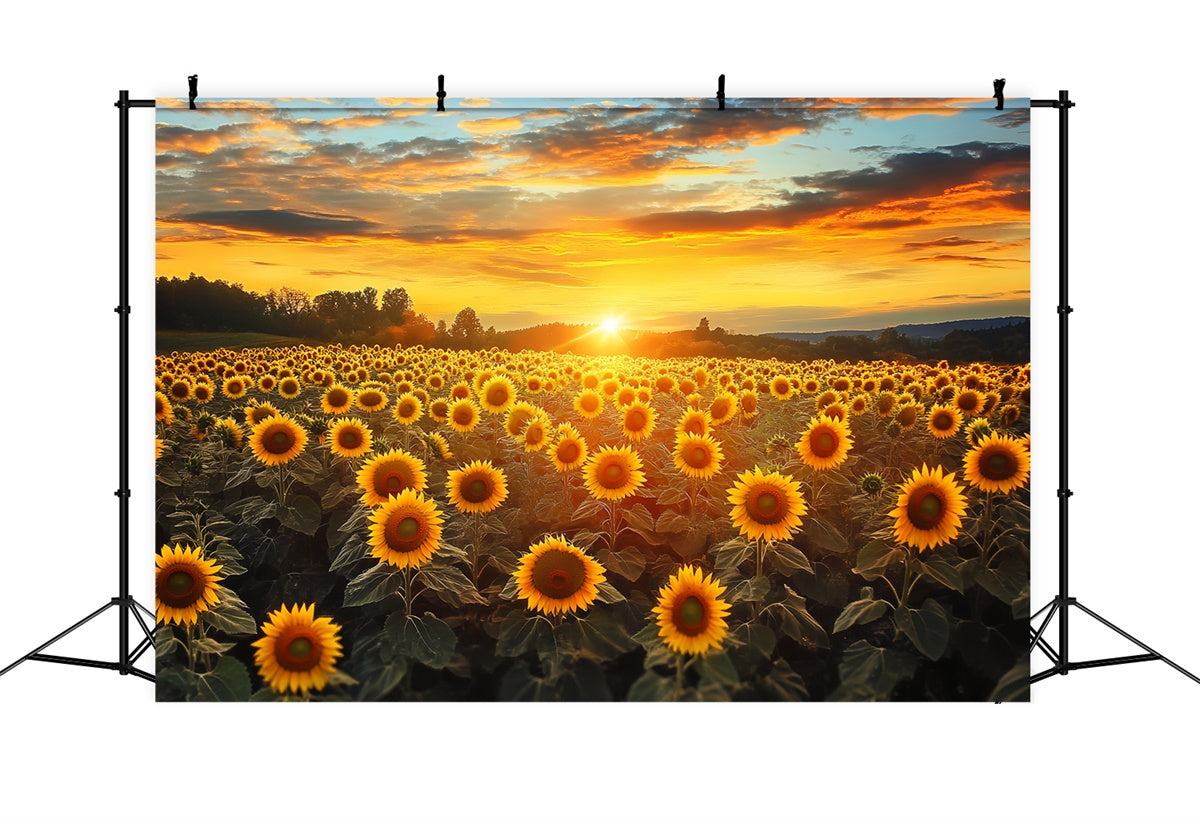 Sunset Photo Backdrop Fire Sky Sunflower Fall Backdrop UK BRP57-172