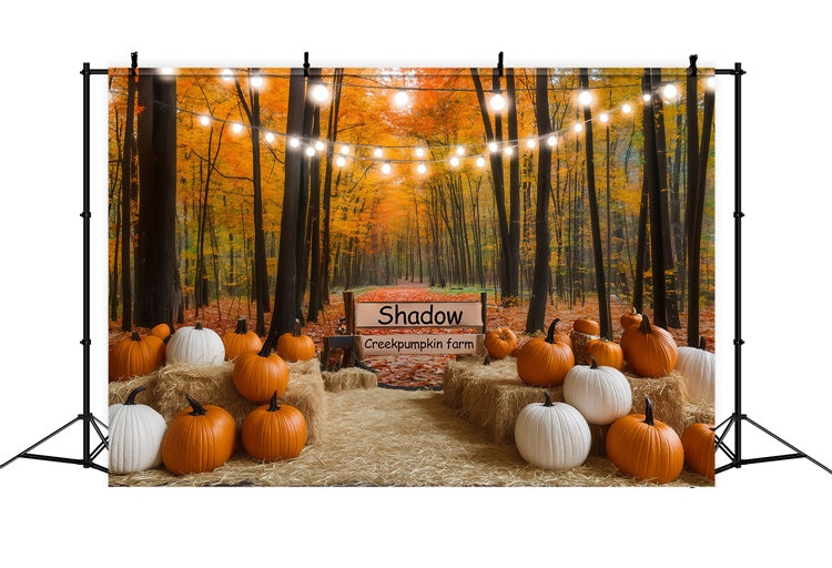 Fall Forest Backdrop Lights Pumpkin Trail Backdrop UK BRP57-177