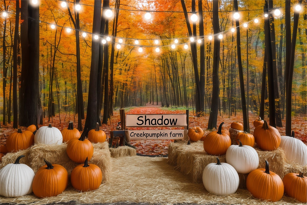 Fall Forest Backdrop Lights Pumpkin Trail Backdrop UK BRP57-177