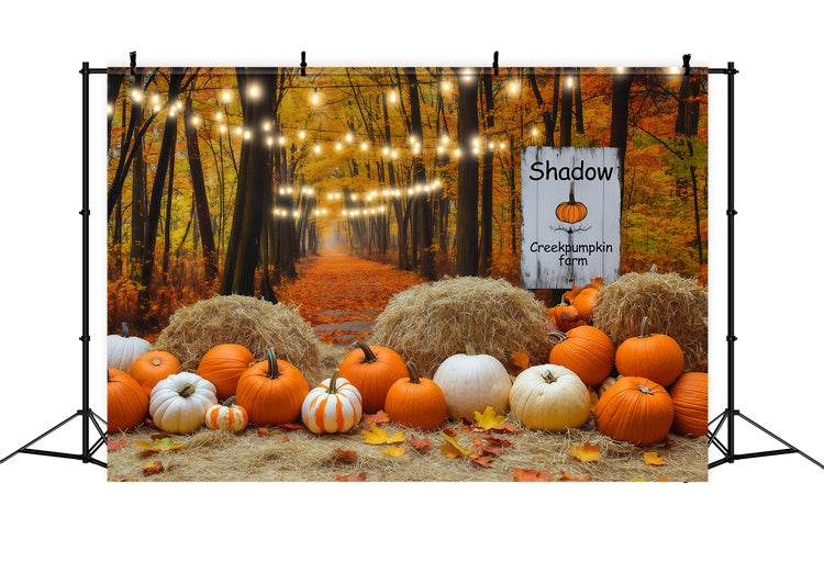 Fall Photo Backdrop Lantern Pumpkin Forest Backdrop UK BRP57-178
