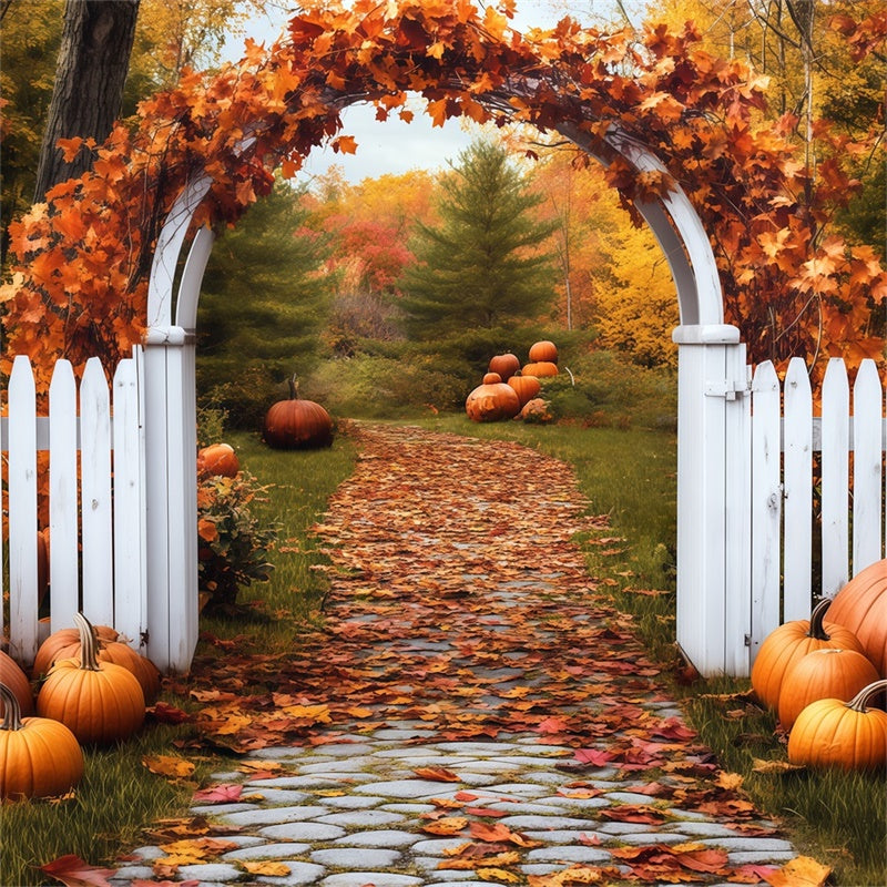 Fall Leaves Backdrop Pumpkin Arch Pathway Backdrop UK BRP57-202