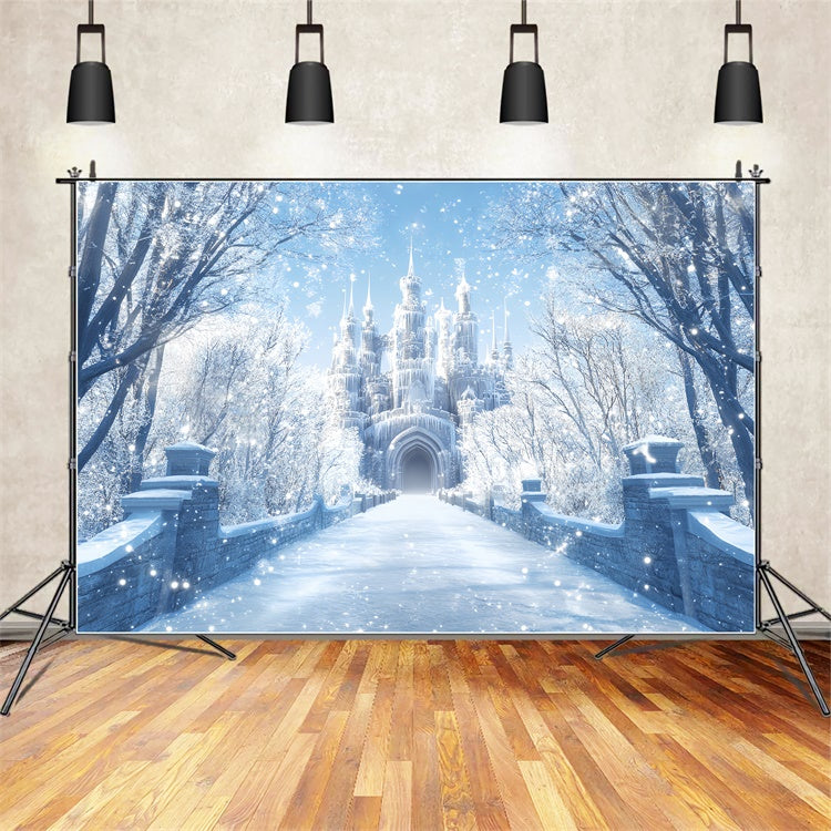 Winter Backdrop Morning Light Winter Castle Backdrop UK BRP57-365