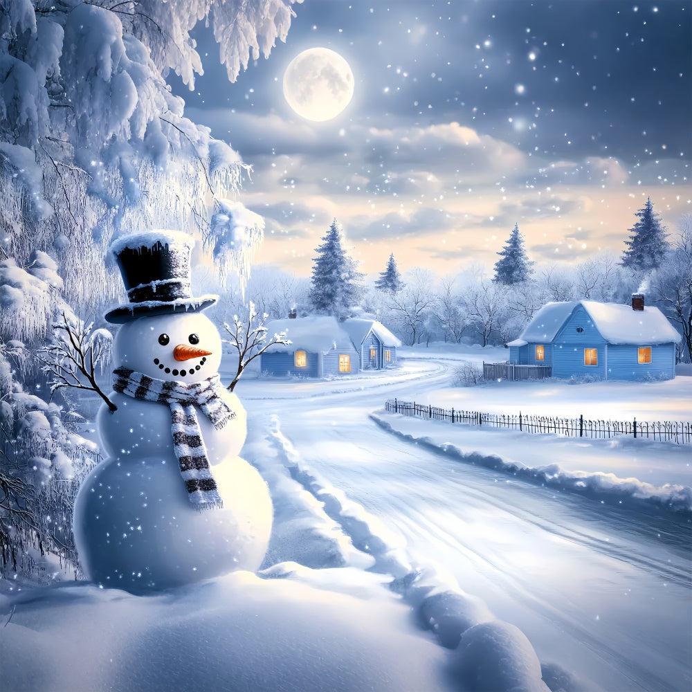 Snowy Backdrop Frosty Path Winter Cottage Backdrop UK BRP57-388