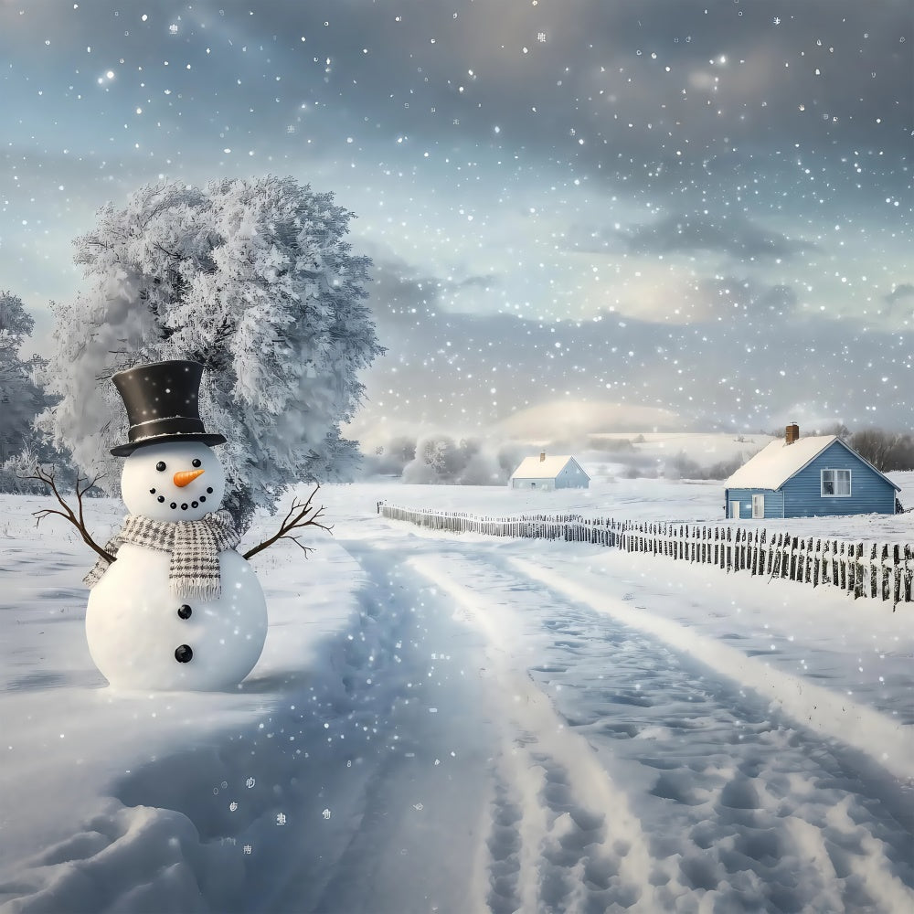 Winter Snow Backdrop Serene Path Snowman Backdrop UK BRP57-389