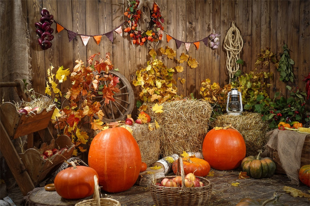 Autumn Harvest with Pumpkins Backdrop UK BRP7-117