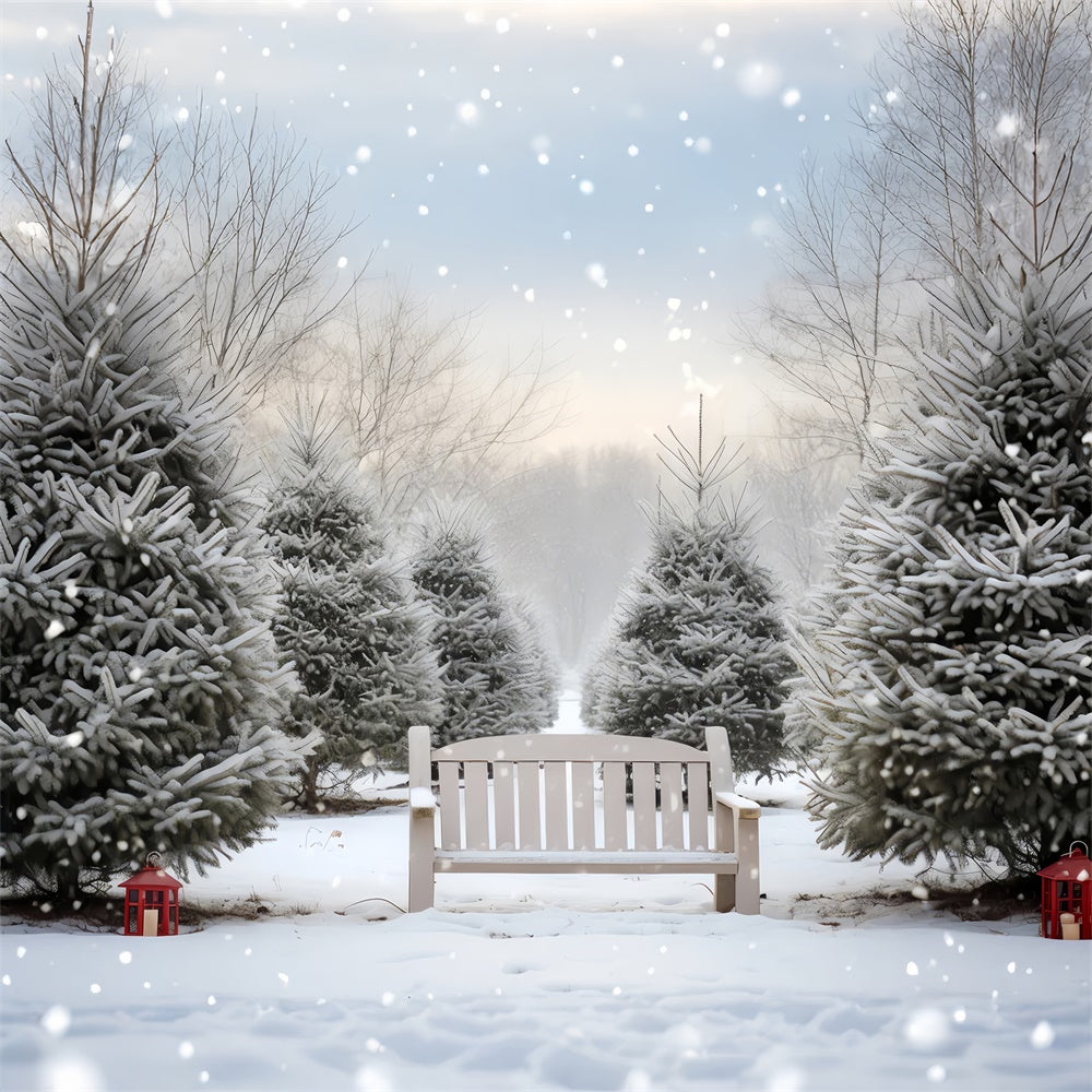 Snowy Christmas Tree Grove Bench Backdrop UK BRP8-141