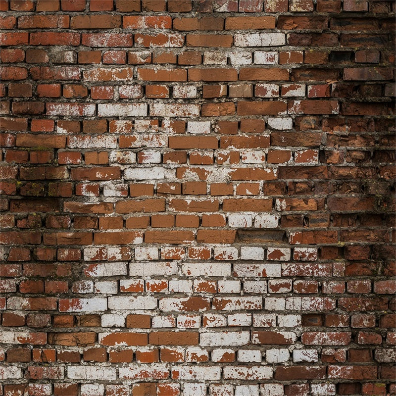 Brick Photo Backdrop Distressed Whitewashed Brick Backdrop UK CJJ3-15